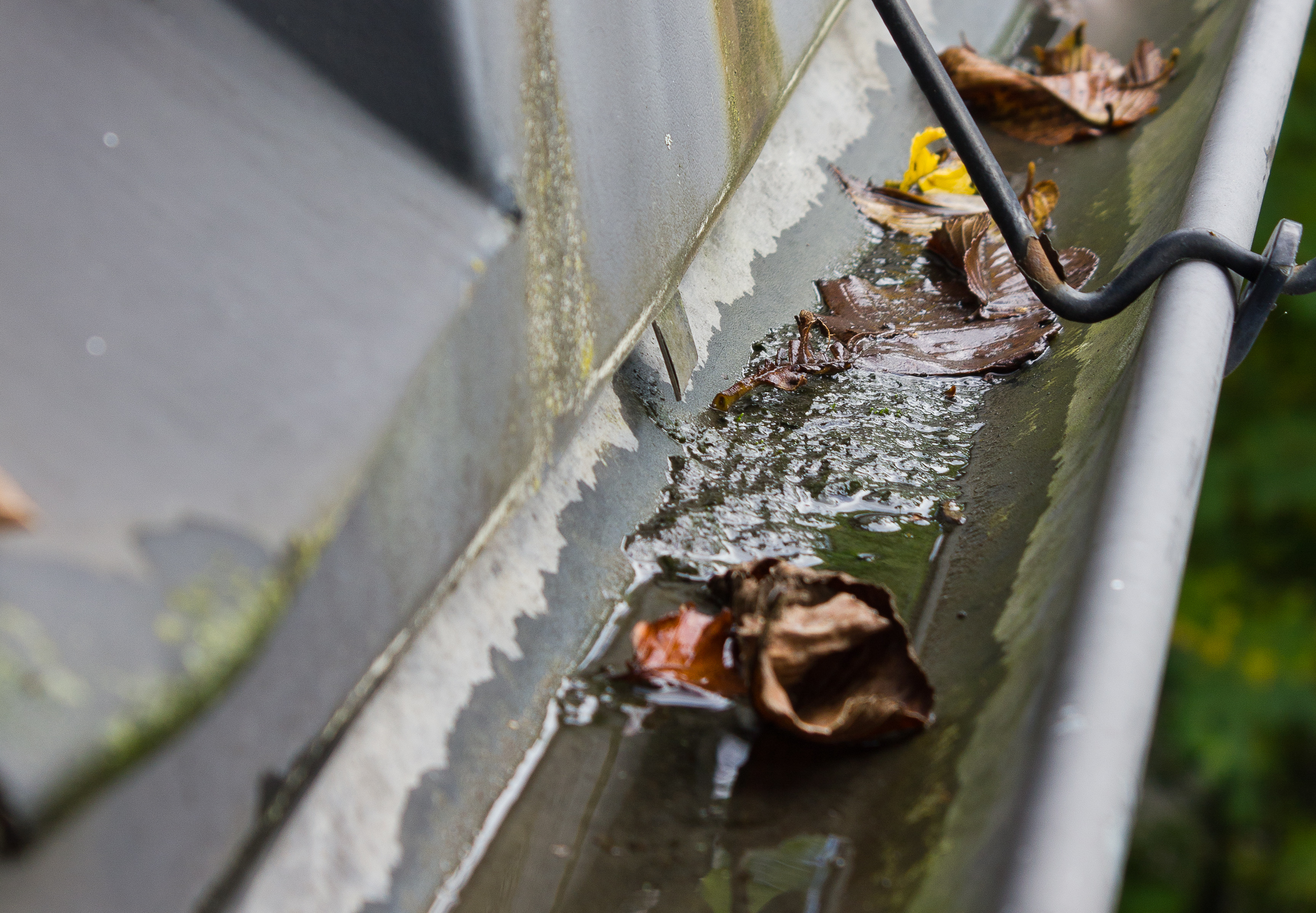 Hold takrennen åpen og ren