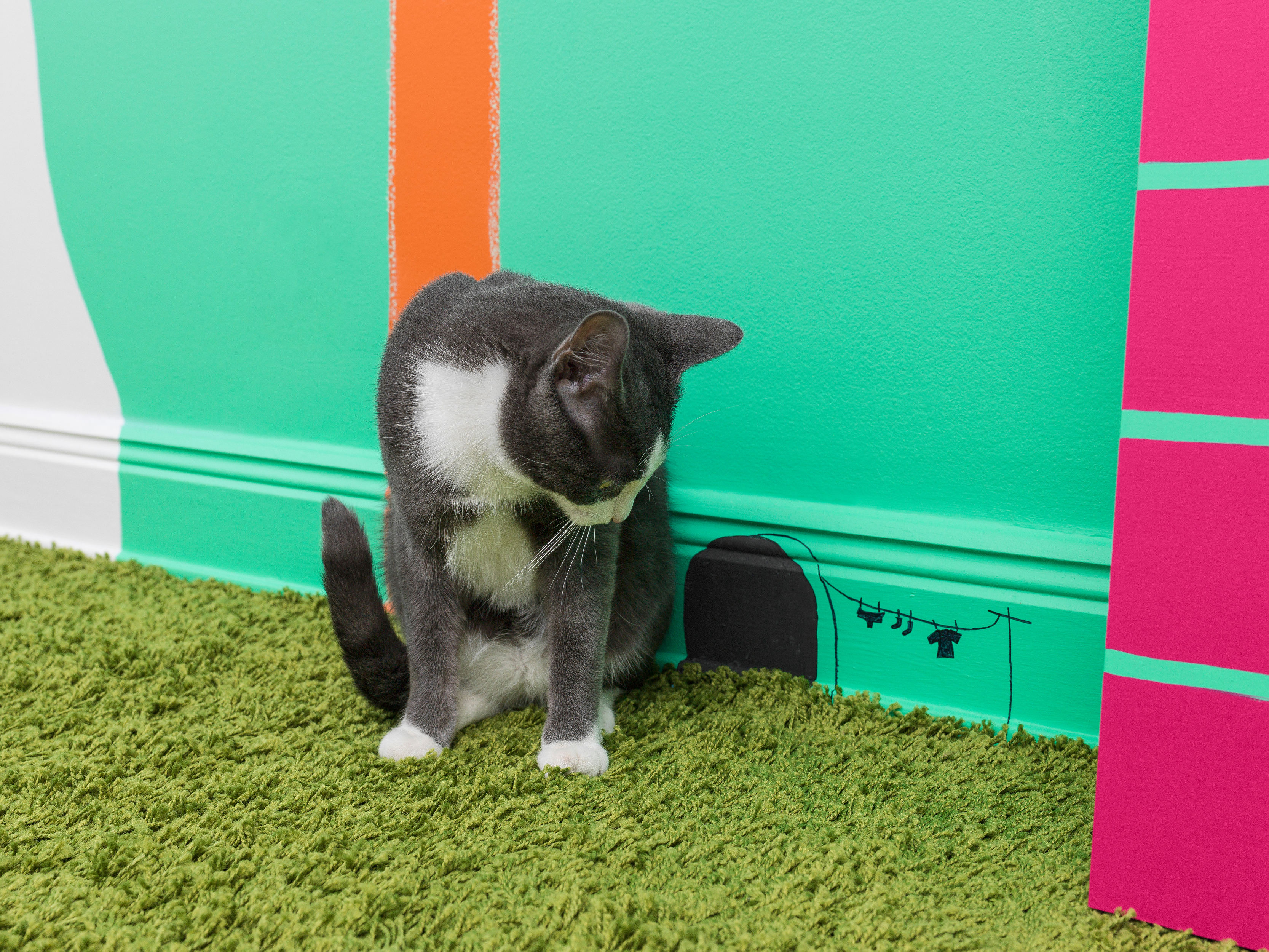 Tavlemaling i spreke farger