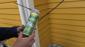 FROST-SPRAY: En frost-spray er perfekt å bruke om du  skal ta knekken på små insekter rundt huset. Insekter har mye vann i seg og  fryser med en gang når de blir utsatt for 40 minusgrader.