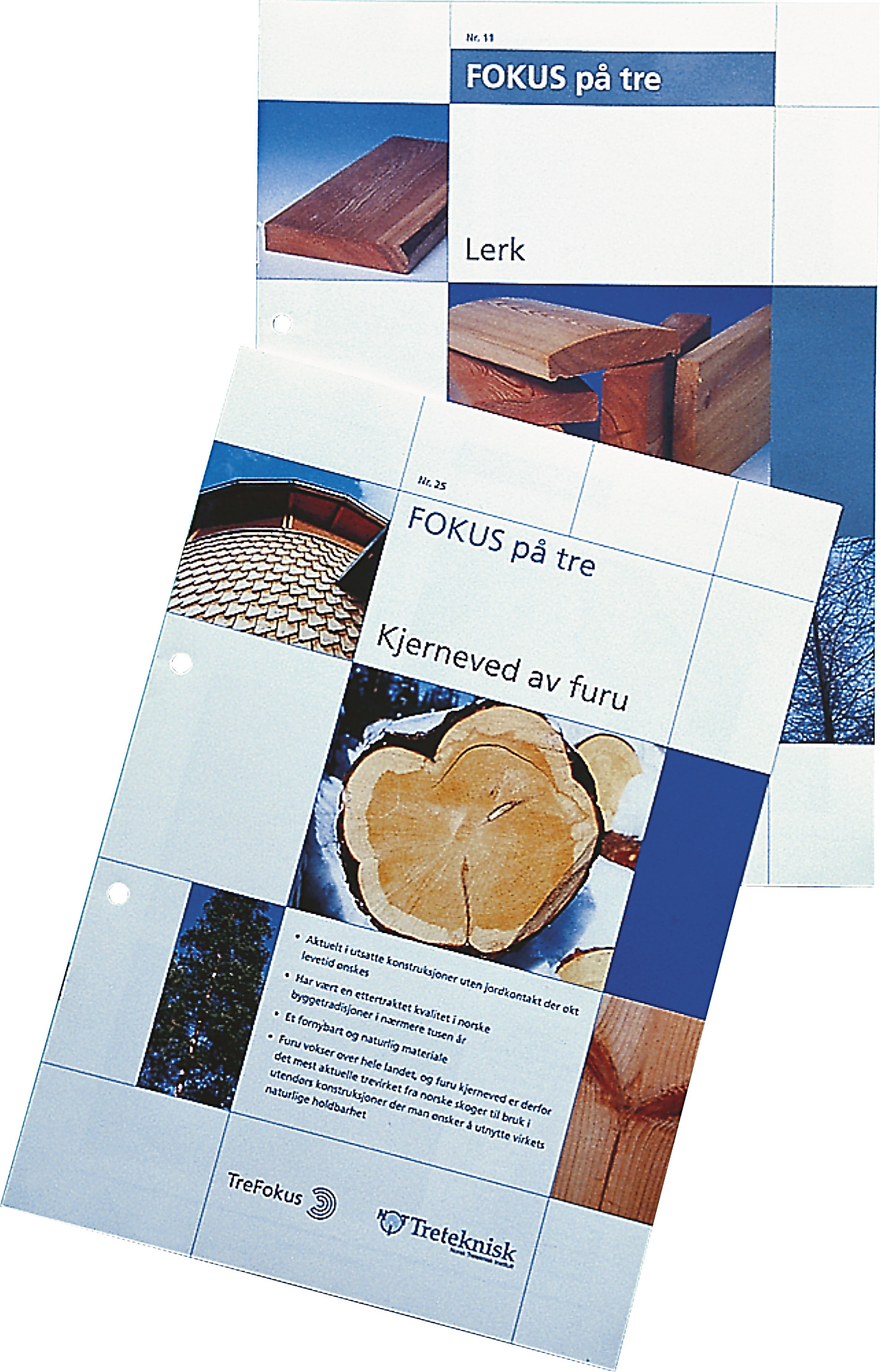 Furu eller lerk - alternativer til trykkimpregnert virke