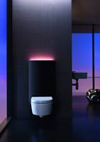 Toalett og toalettmodulen Geberit Monolith Plus  er plassert på en vegg i rommet, med vask på den andre siden. Trendy!