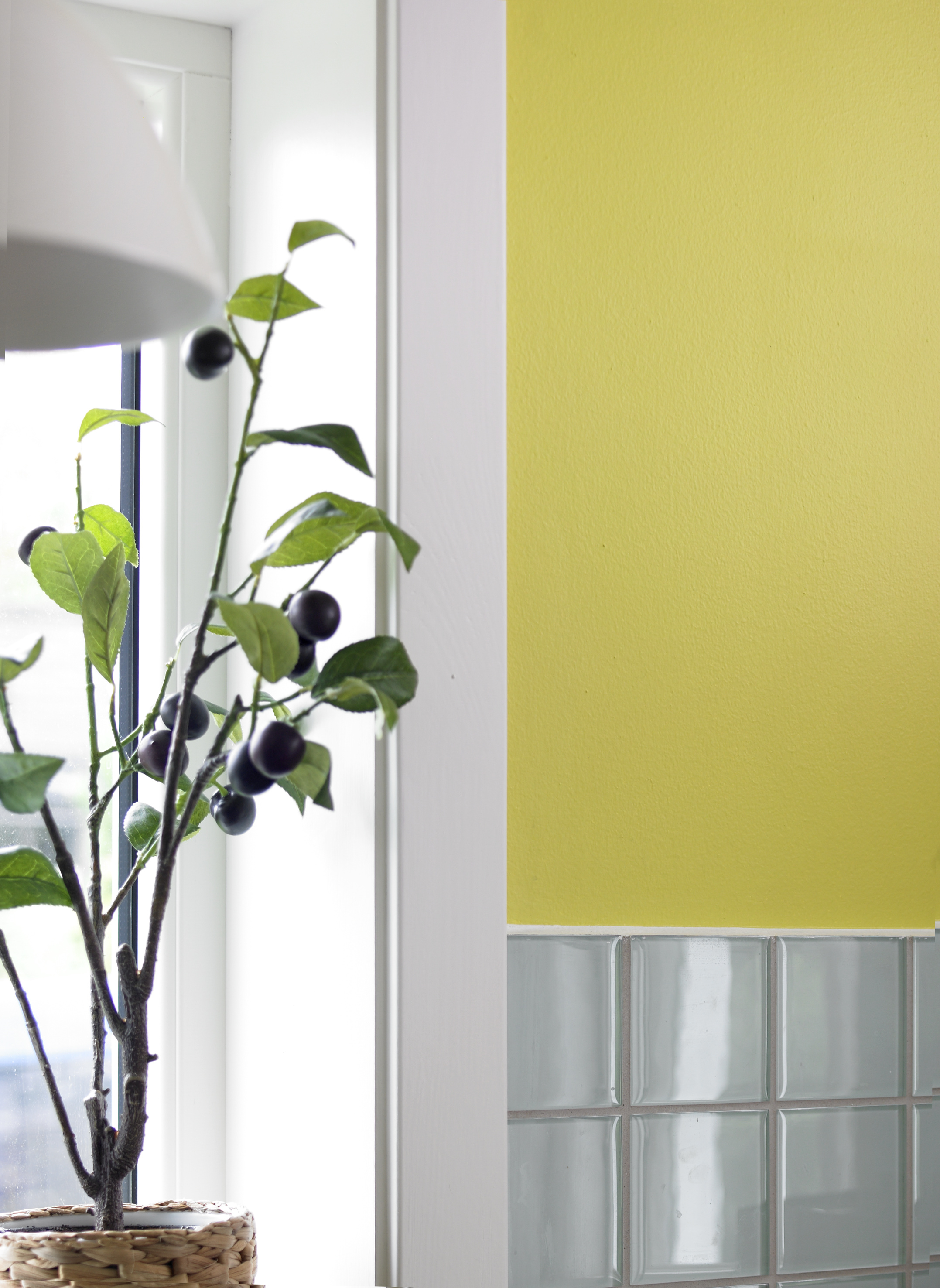 Også matte malinger kan som regel vaskes lett uten å bli skjoldete.