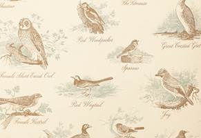Sirlige og tydelige tegninger av fugler i sitt naturlige element. Fås som tapet og tekstil, fra Green Apple/Lewis & Wood. 