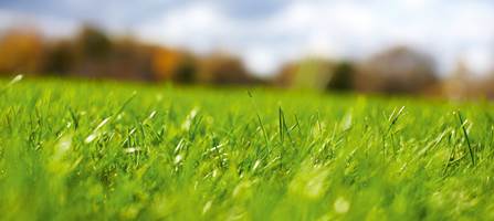 God kvalitet og naturtro utseende har ført til at stadig flere går for grønt utendørs. Syntetisk gress har endelig kvittet seg med harrystempelet! 