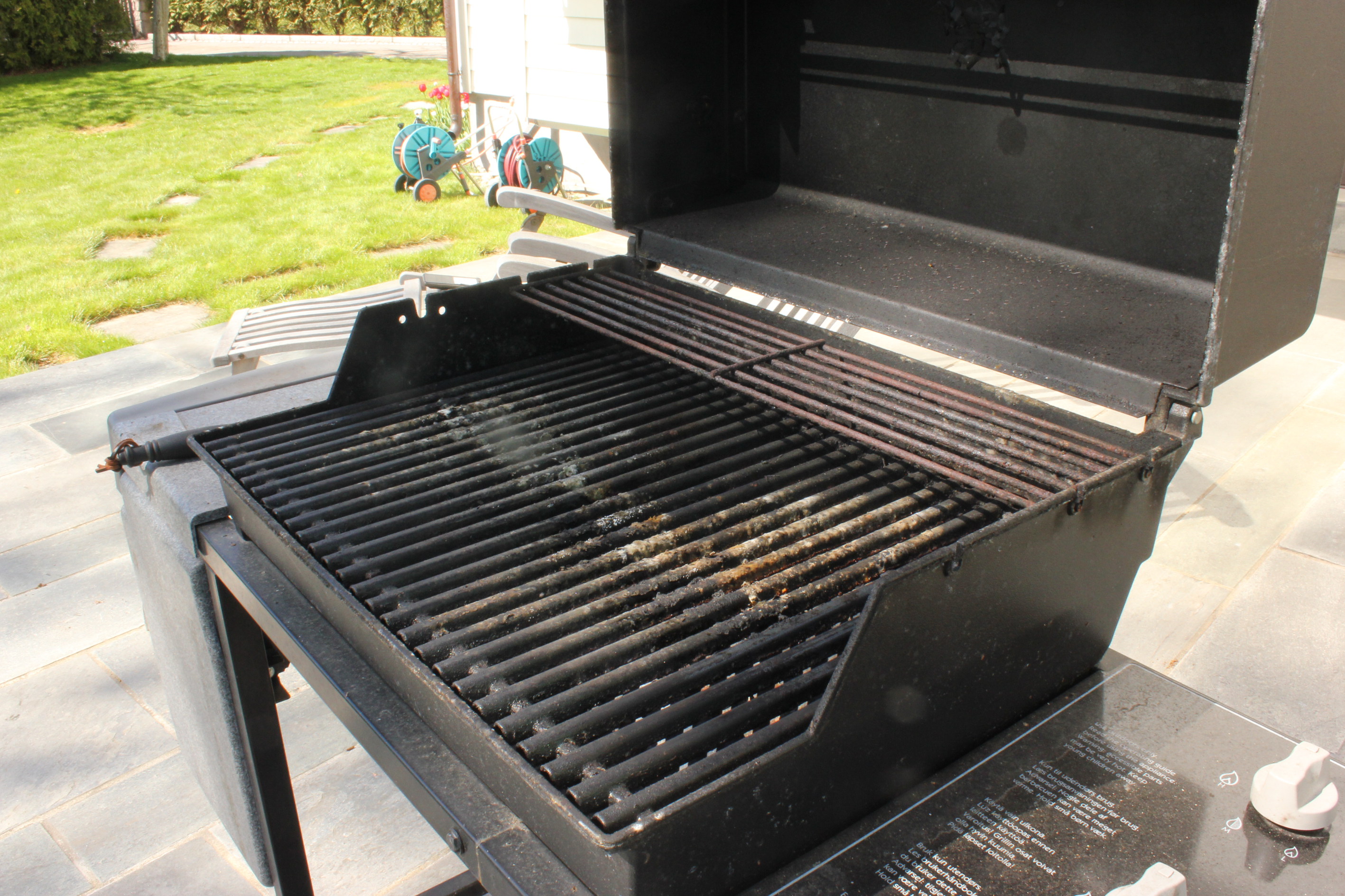 Setter griller i hodet