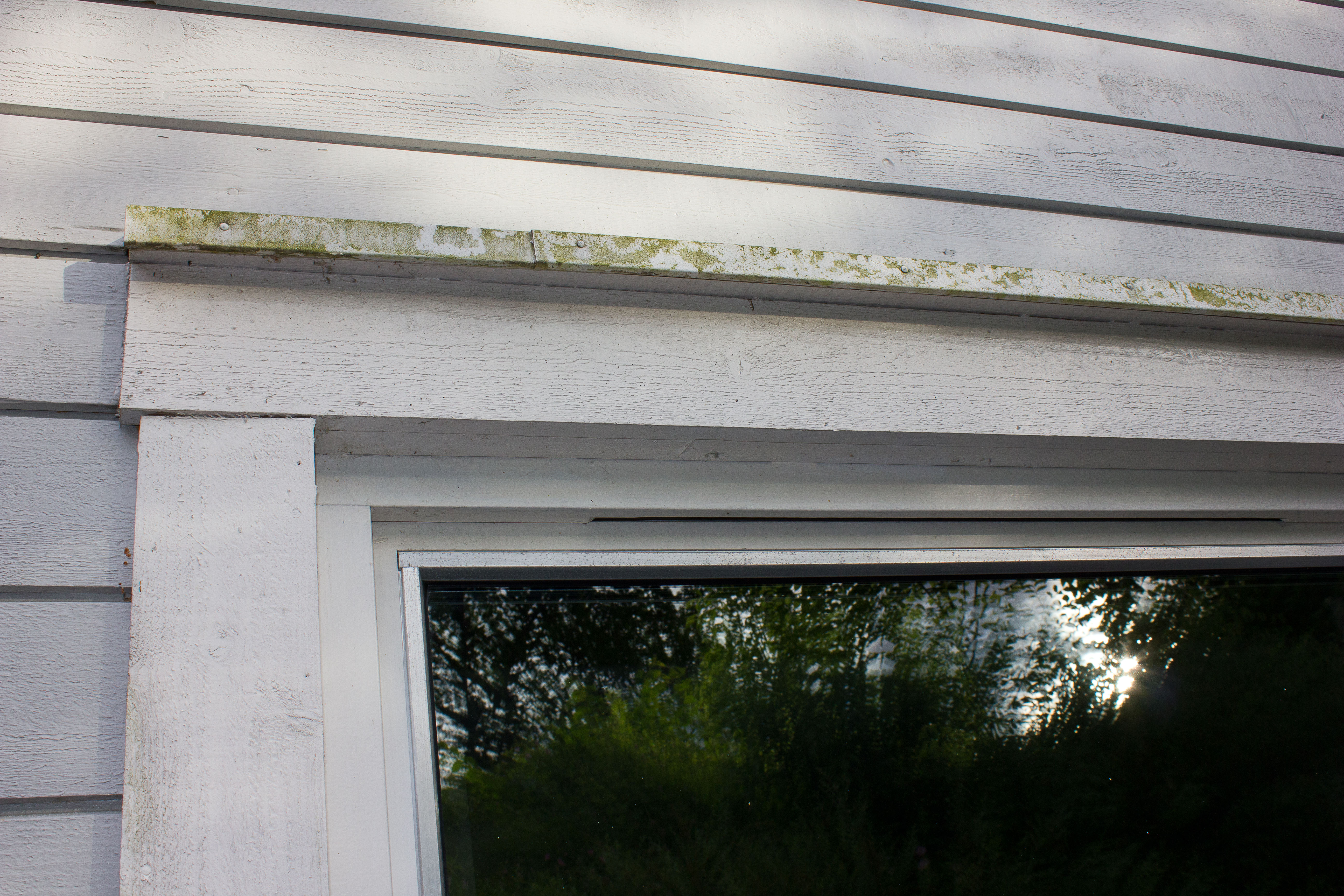 På utsatte steder gror det lett.