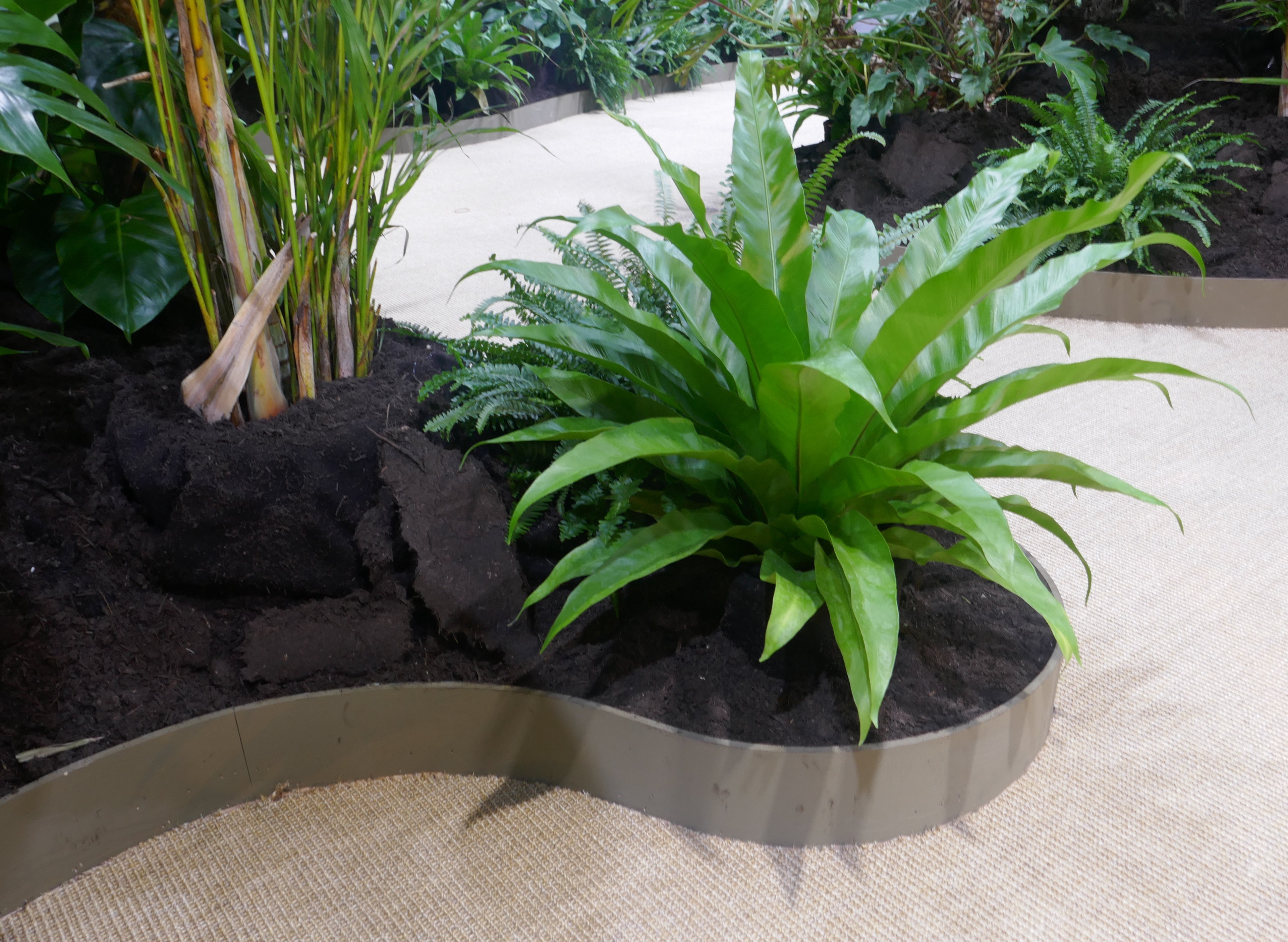 Grønt på arbeidsplassen