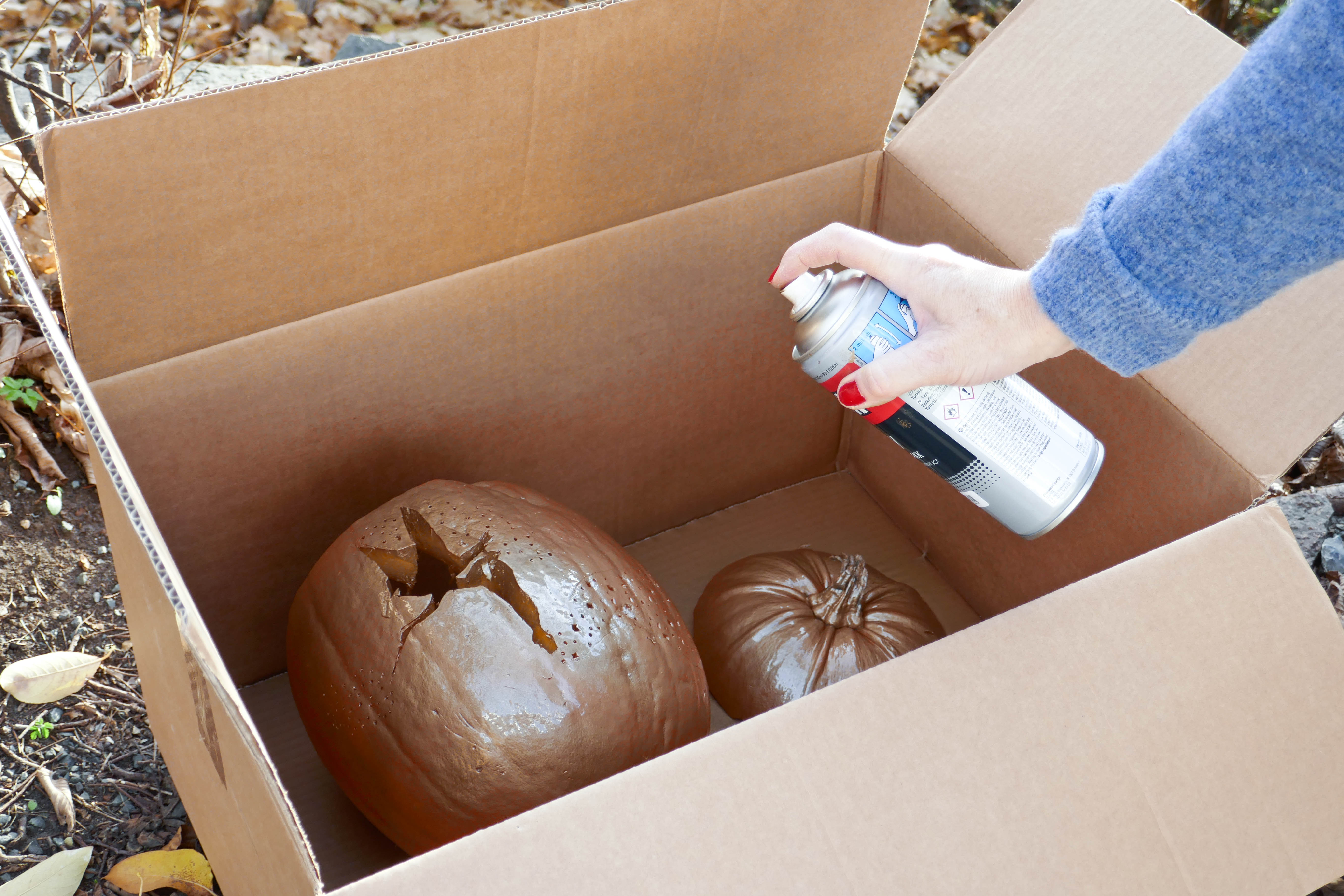 Spraylakkere gresskar