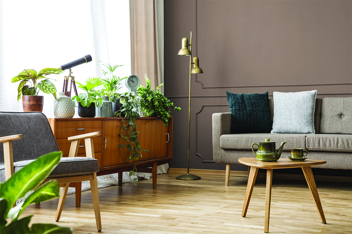 Brungrå Rakle populær veggfarge for 2021