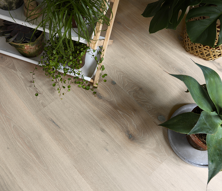 Når valget står mellom oljet eller lakkert gulv