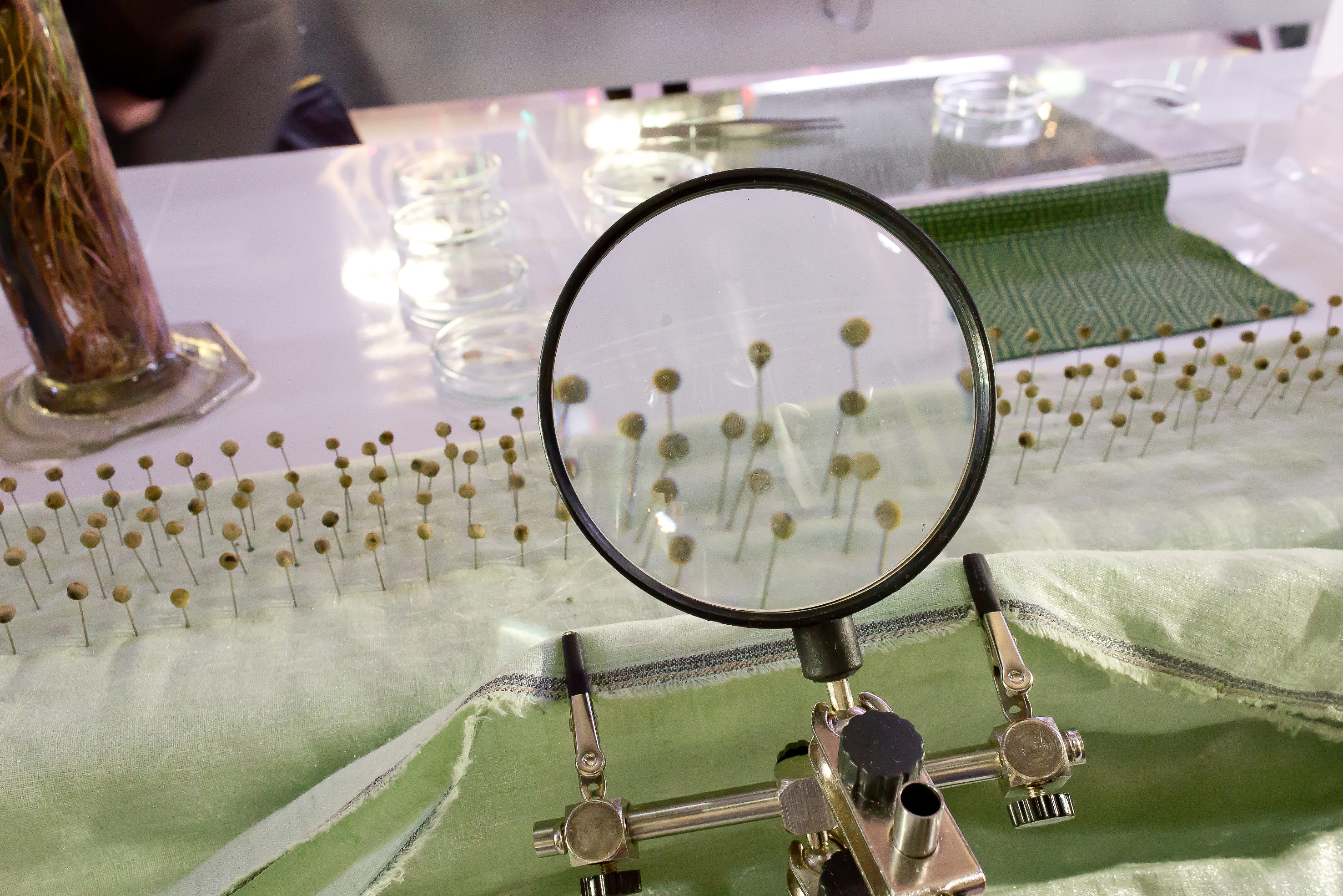 Leter du etter noe nytt og annerledes, når trenden har nådd «alle»?