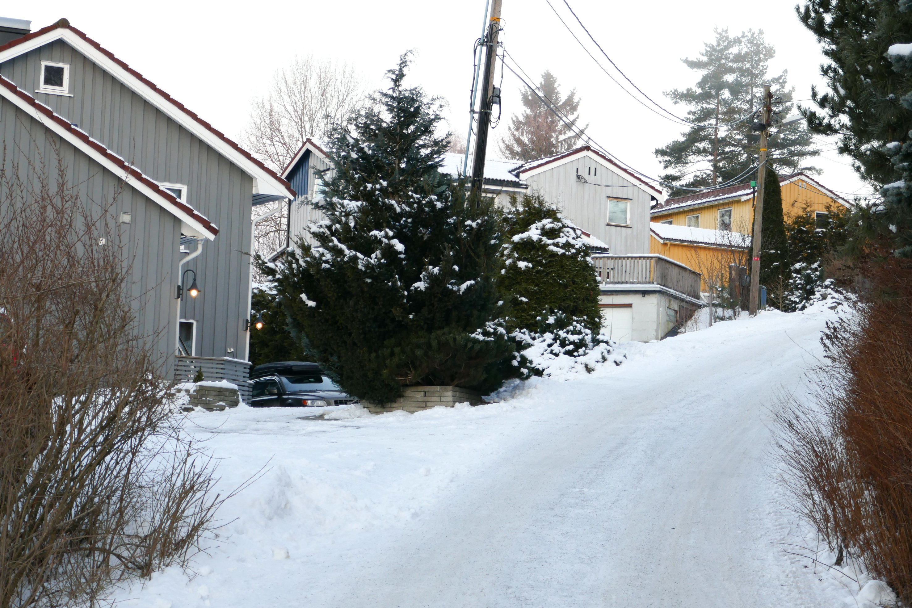 HELE &Aring;RET: Fargene skal ogs&aring; kle huset i m&aring;neder med nakne tr&aelig;r, skitten sn&oslash; og gr&aring; himmel. (Foto: Bj&oslash;rg Ownren/ifi.no)