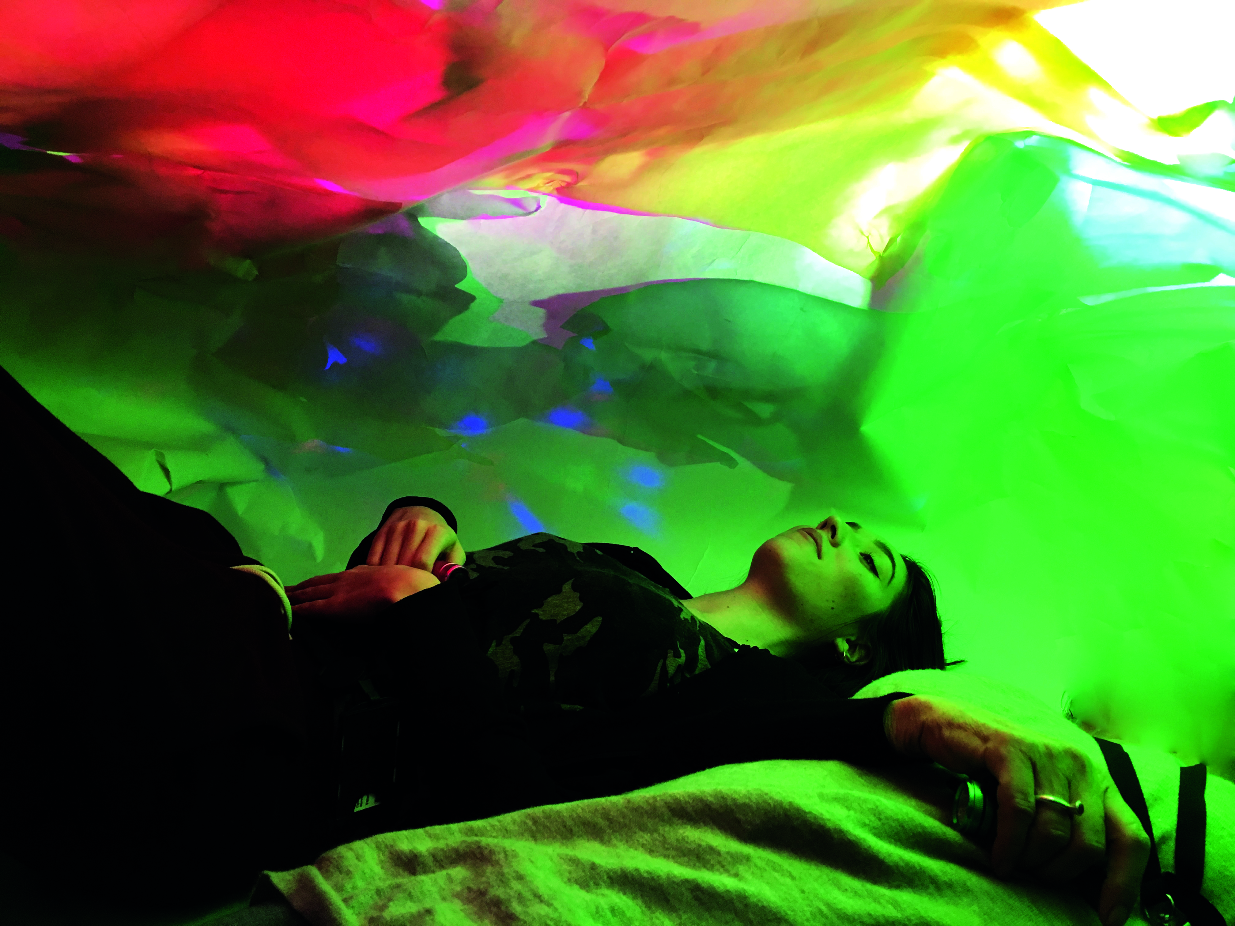 Den kulturelle hjernen – kunsten og fargene