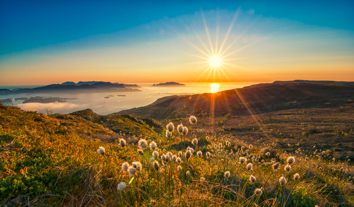 ATMOSFÆRE: Jentene bak «Havlandet» tenker mange vil ønske å finne sine naturlige farger og gjenskape den atmosfæren de trives i. (Foto: Bjørn Vegard Skoge)