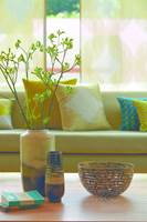 <b>FLORLETT:</b> Gro Welle-Watne anbefaler florlette gardiner i rom der du vil ha lys, men lite solskinn. 