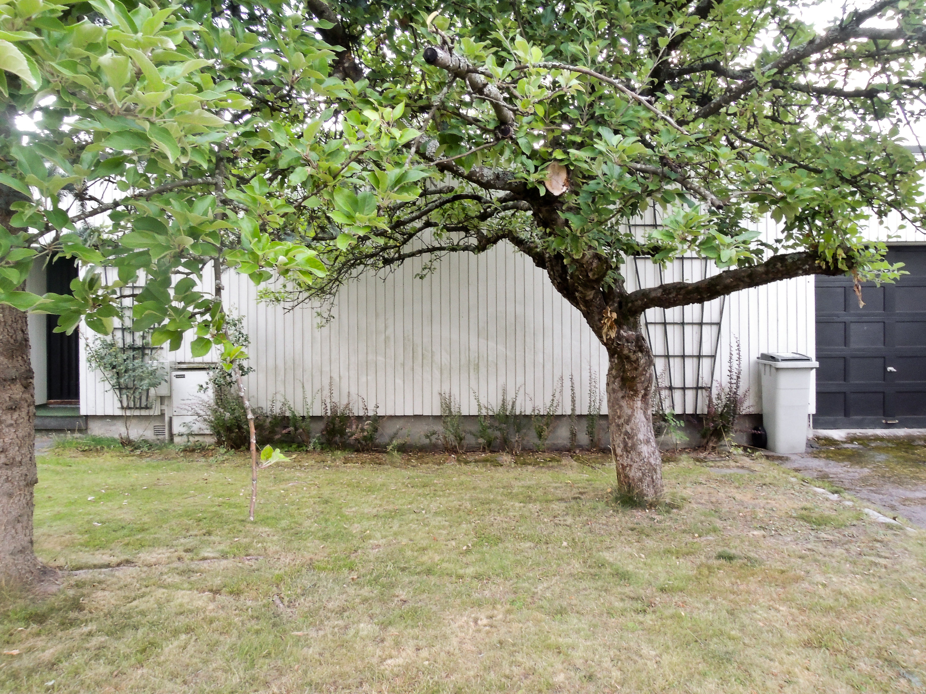 Vask huset før vinteren