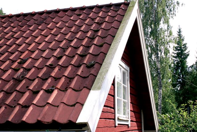 Ta en kikk på taket og se etter mose, begroing, rusk i takrenner, og undersøk malingen på vannbrettene.
