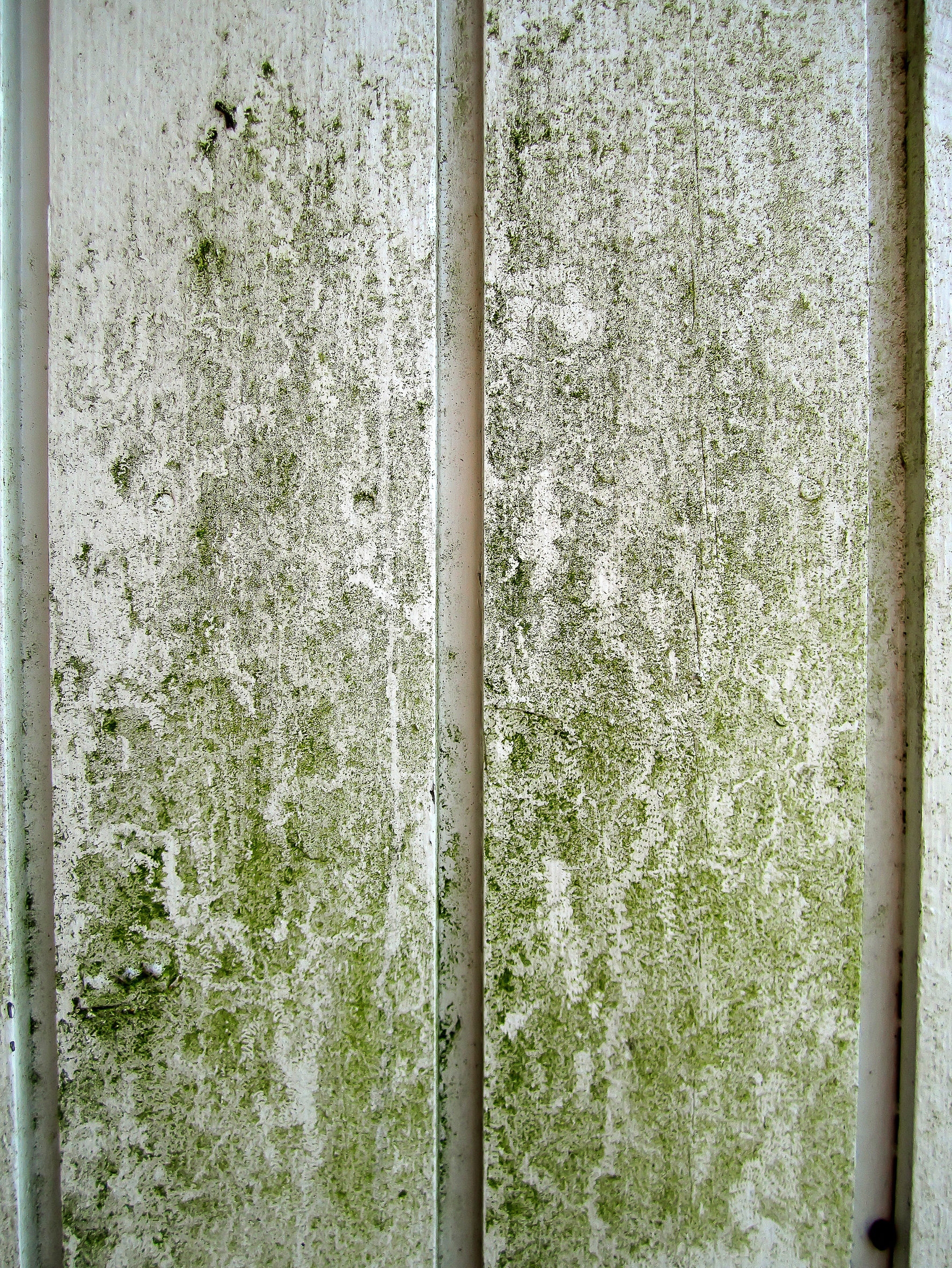 Soppdreper mot begroing