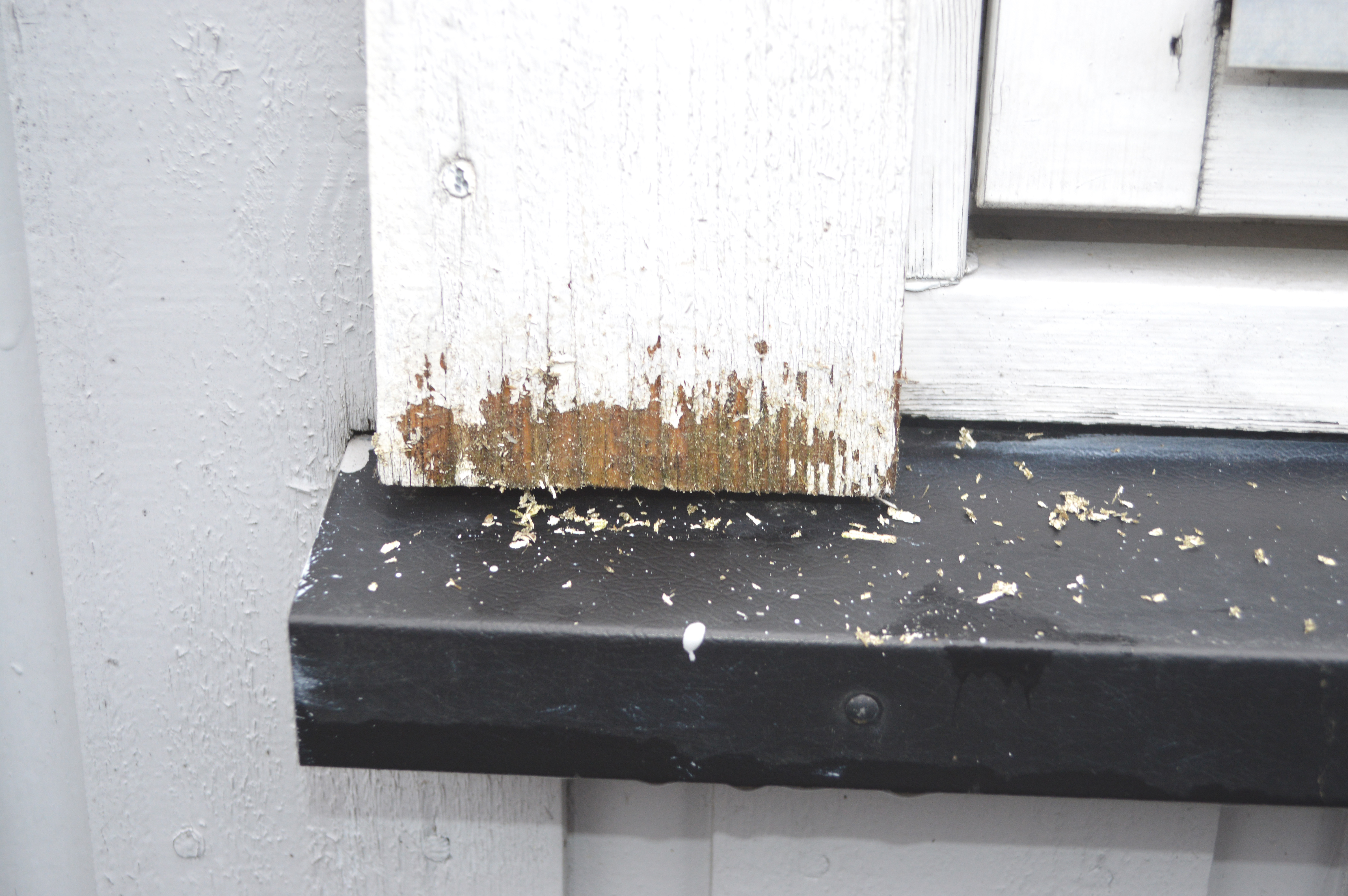 Oppdag råten i tide