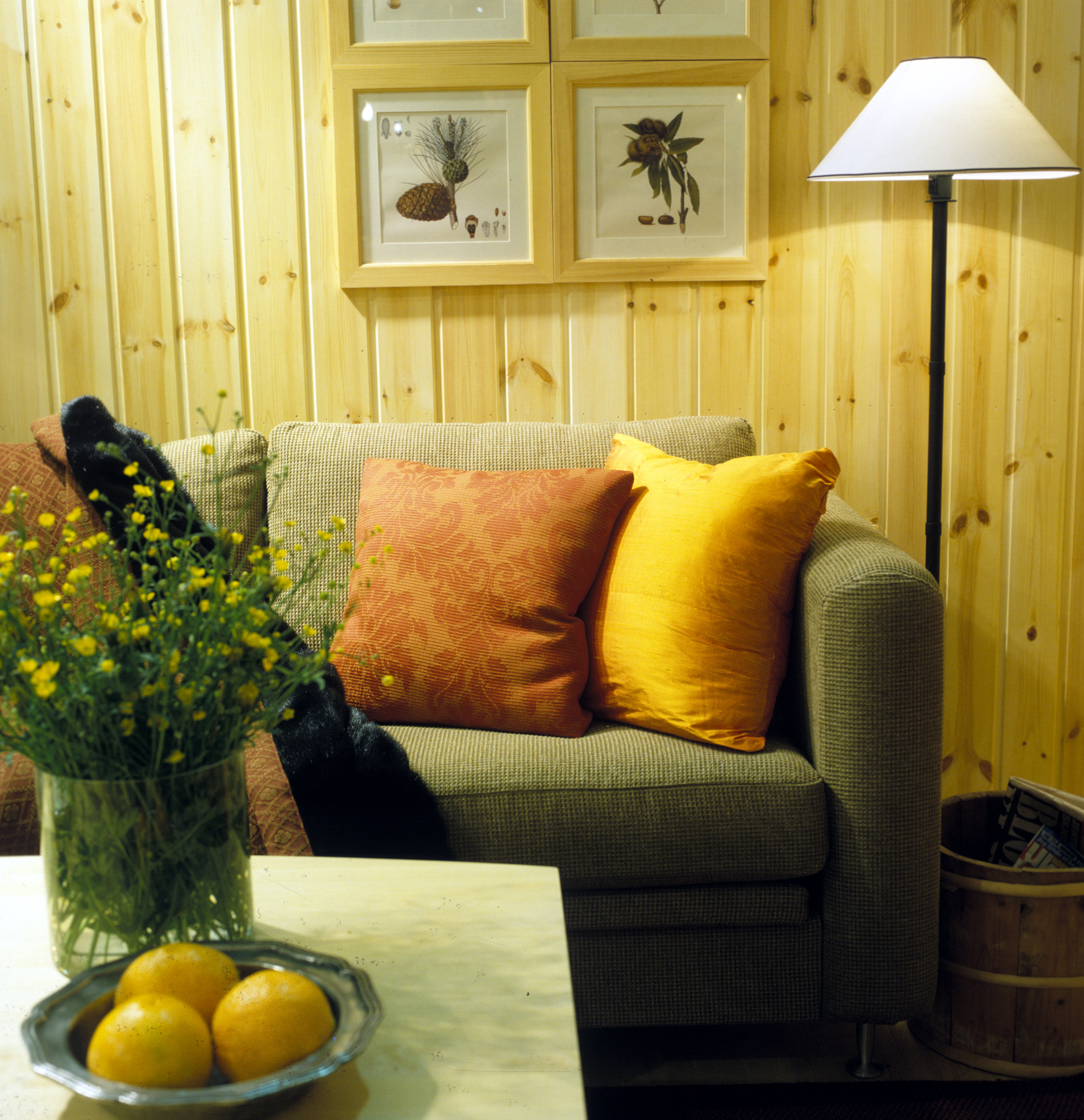 Lyst treverk med blekelut