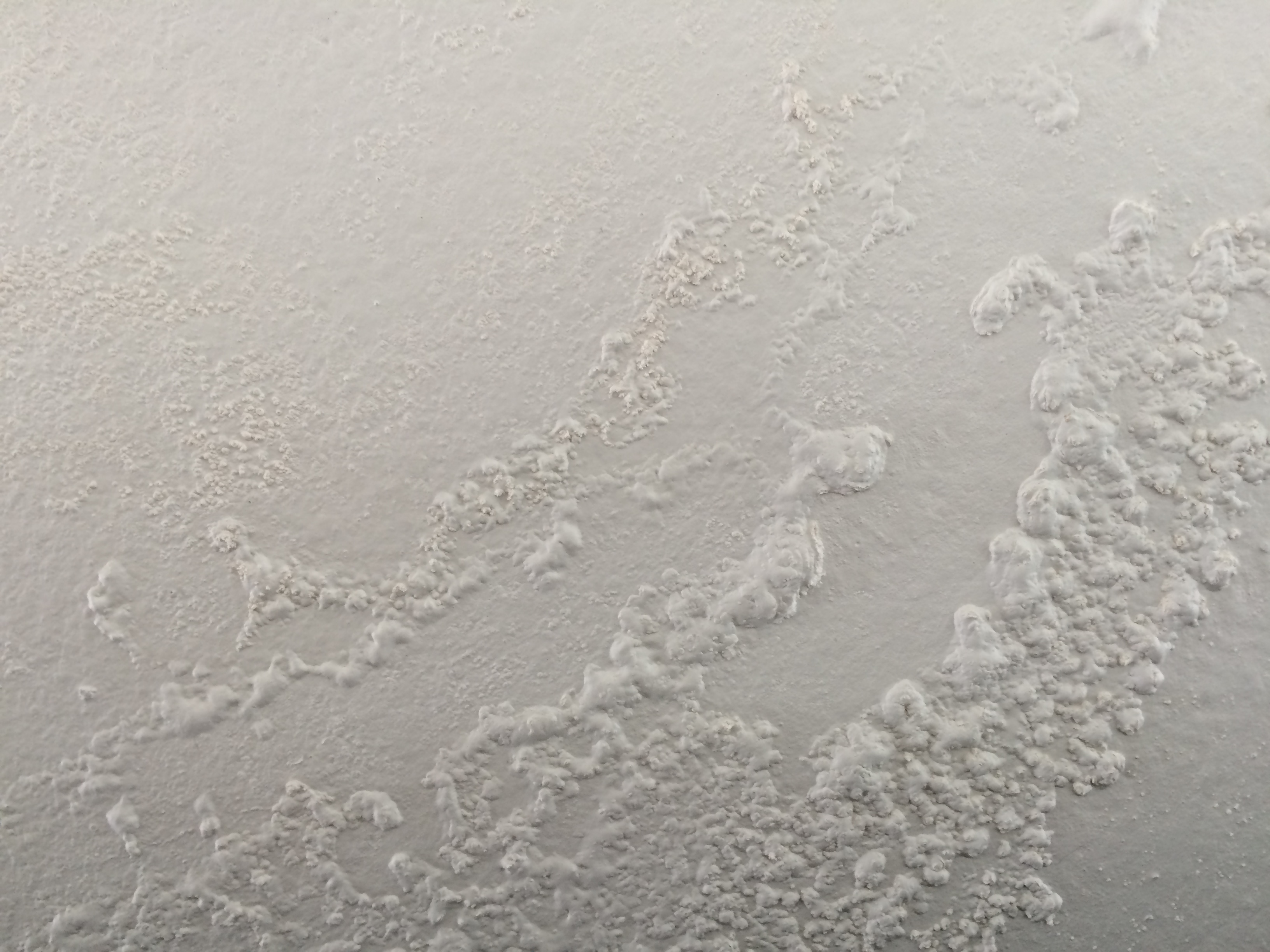 Det bobler på murveggen