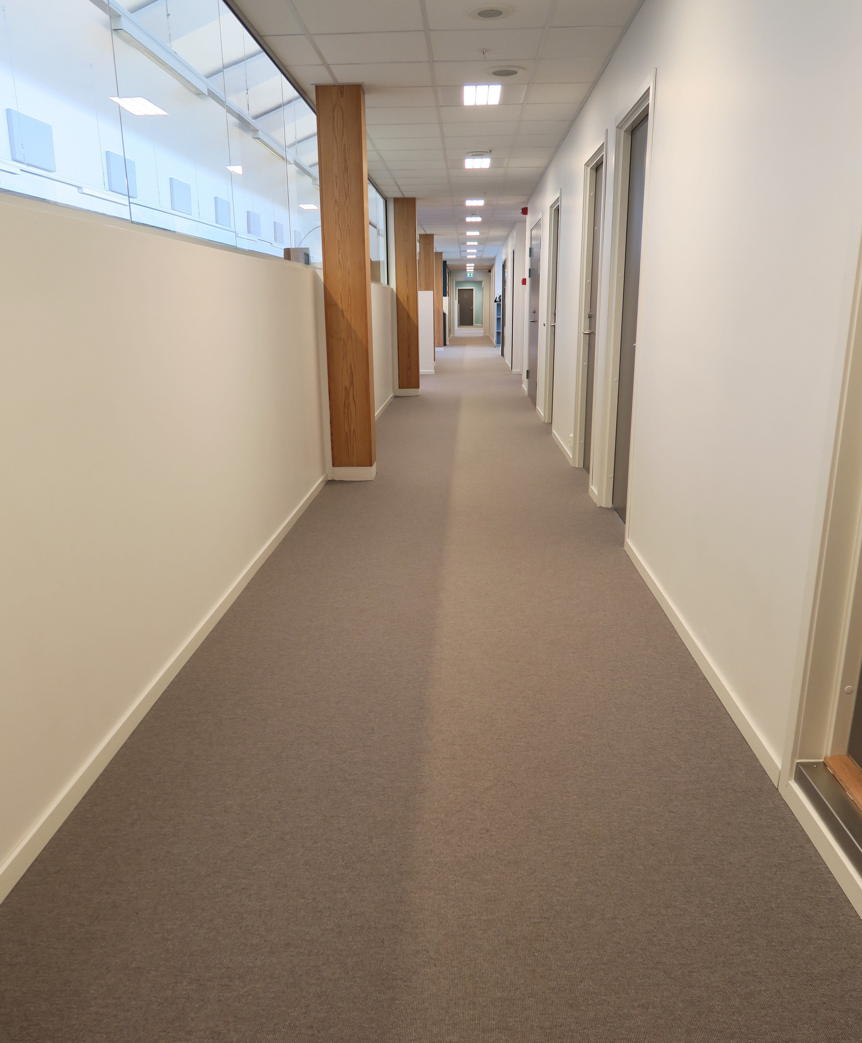 LANG GANG: Trinnlyd og støy var et gjennomgående problem i rådhuset. Det er det ikke lenger. Nå er teppene fra Danfloor rommets største lydfanger.