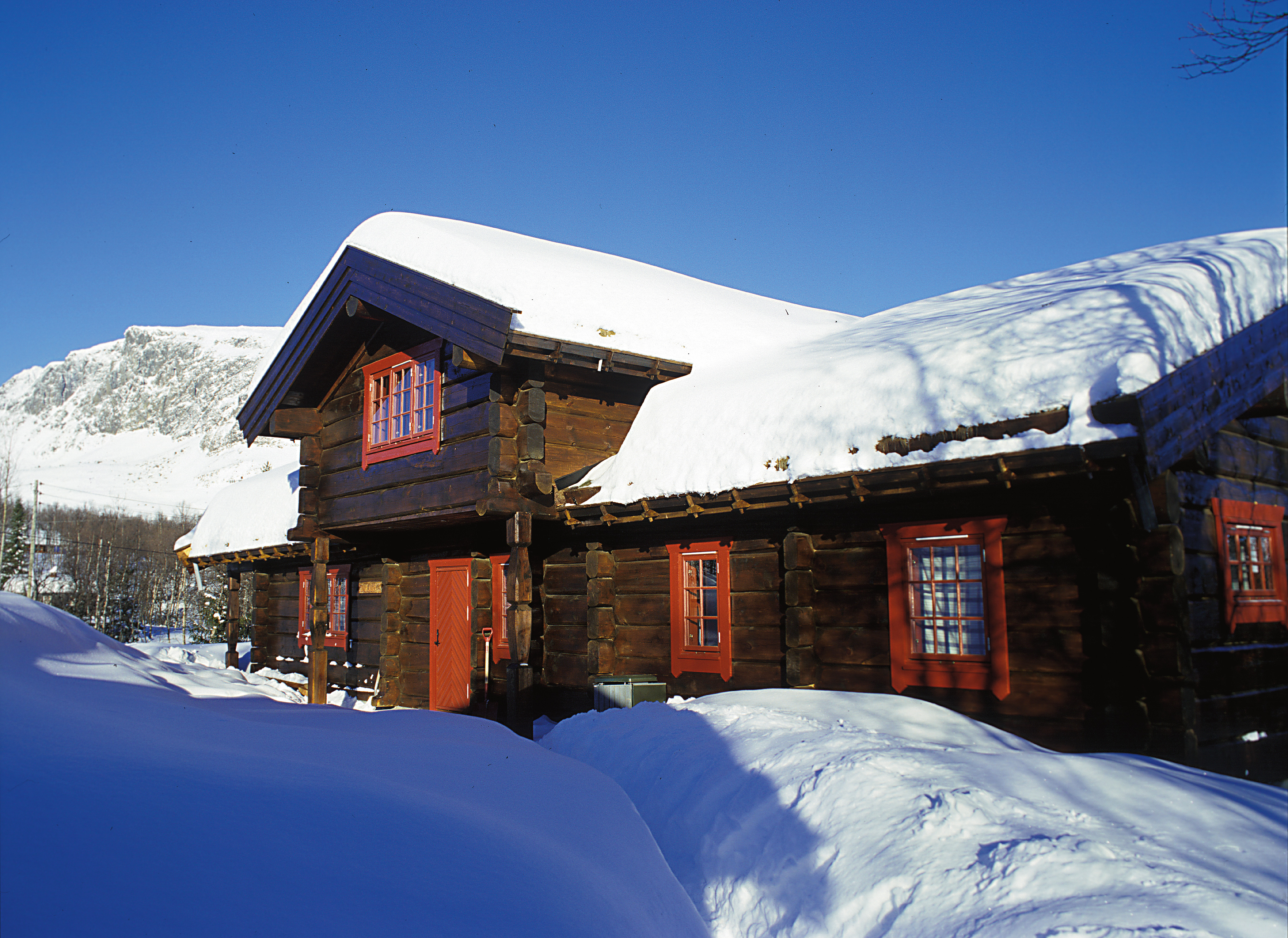 Hytteprosjekt i tjærebeis