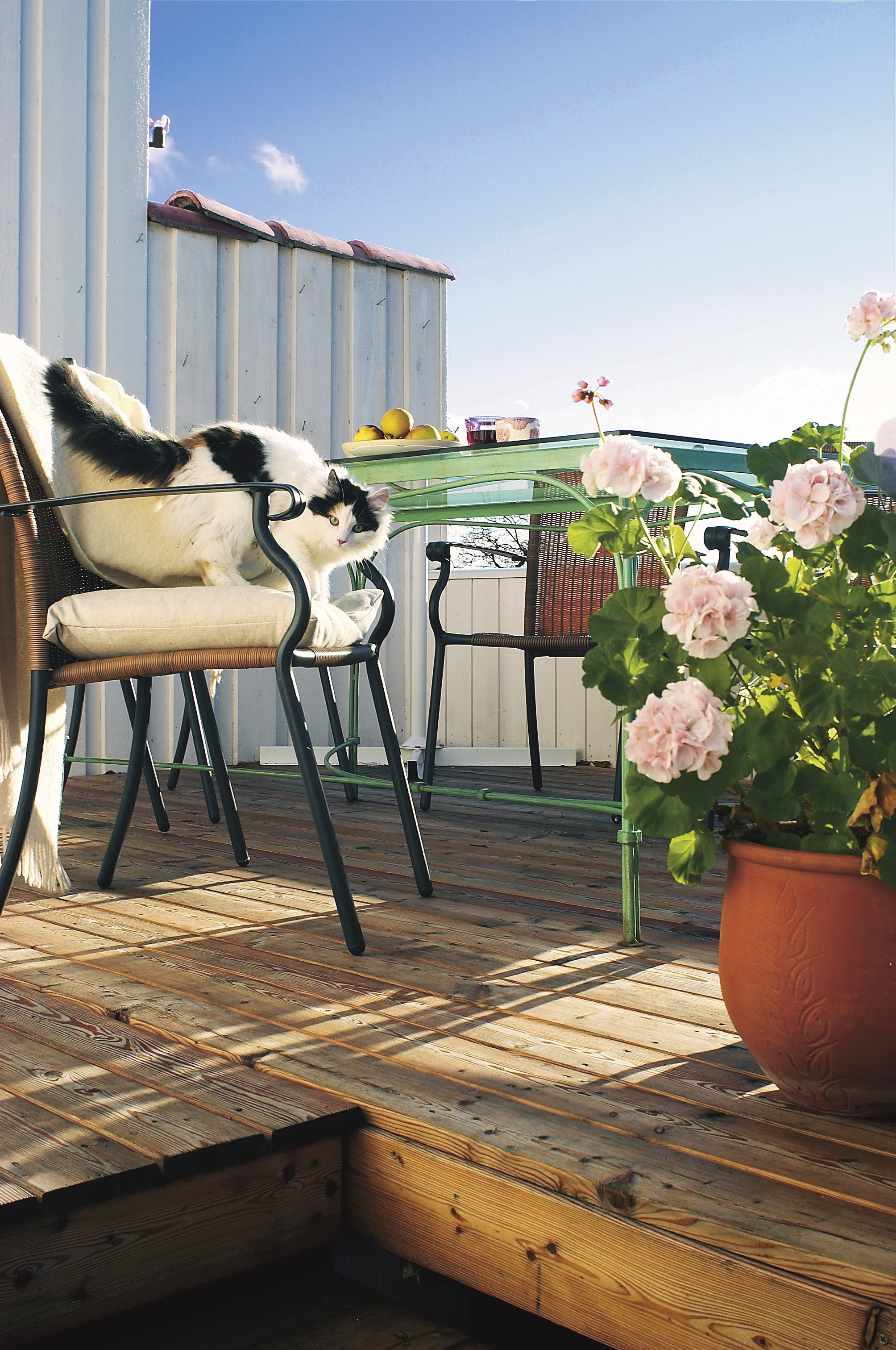 Hva er det med lerk?