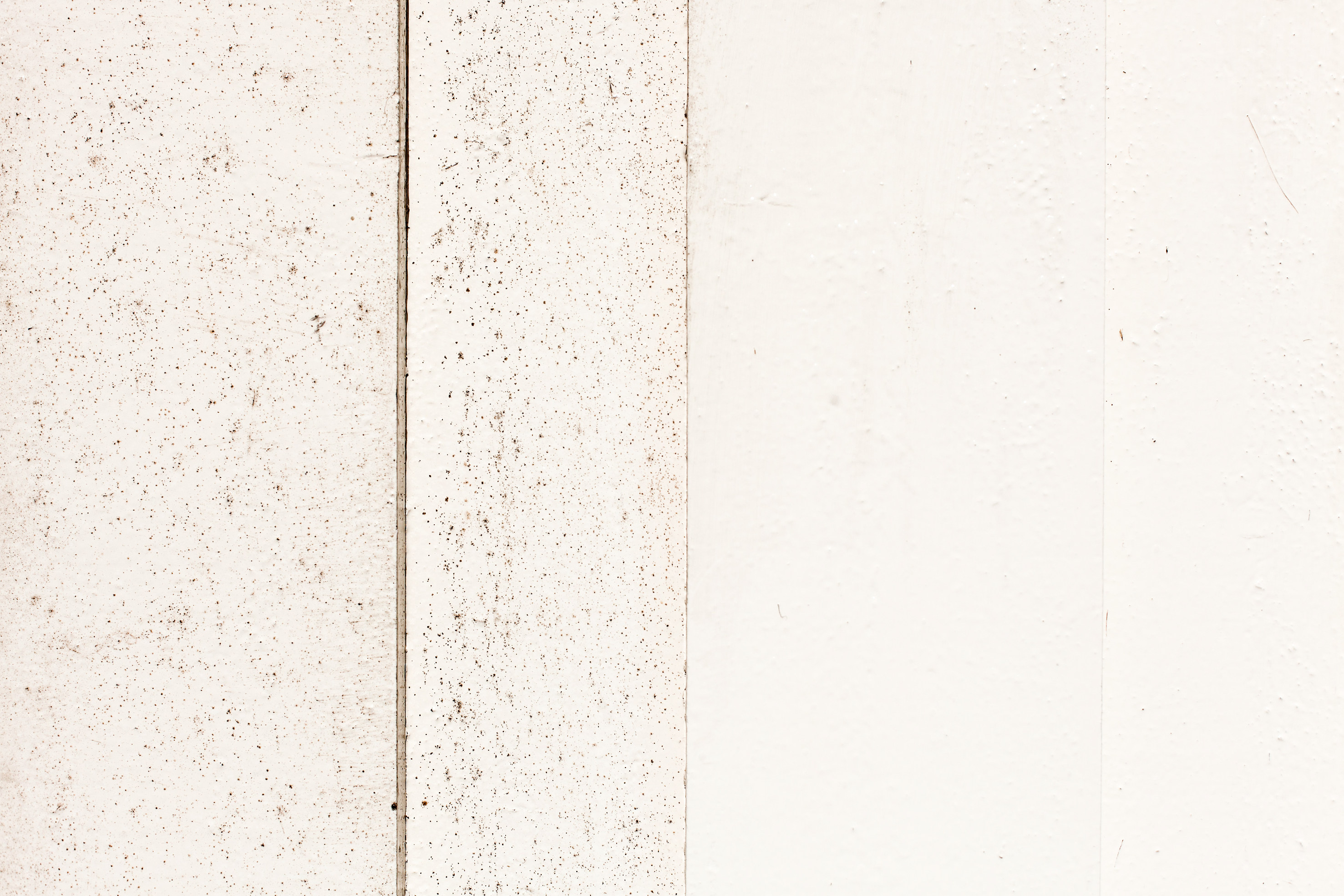 Du ser raskt resultater når du vasker husveggen. (Foto: Kristian Owren/ifi.no)