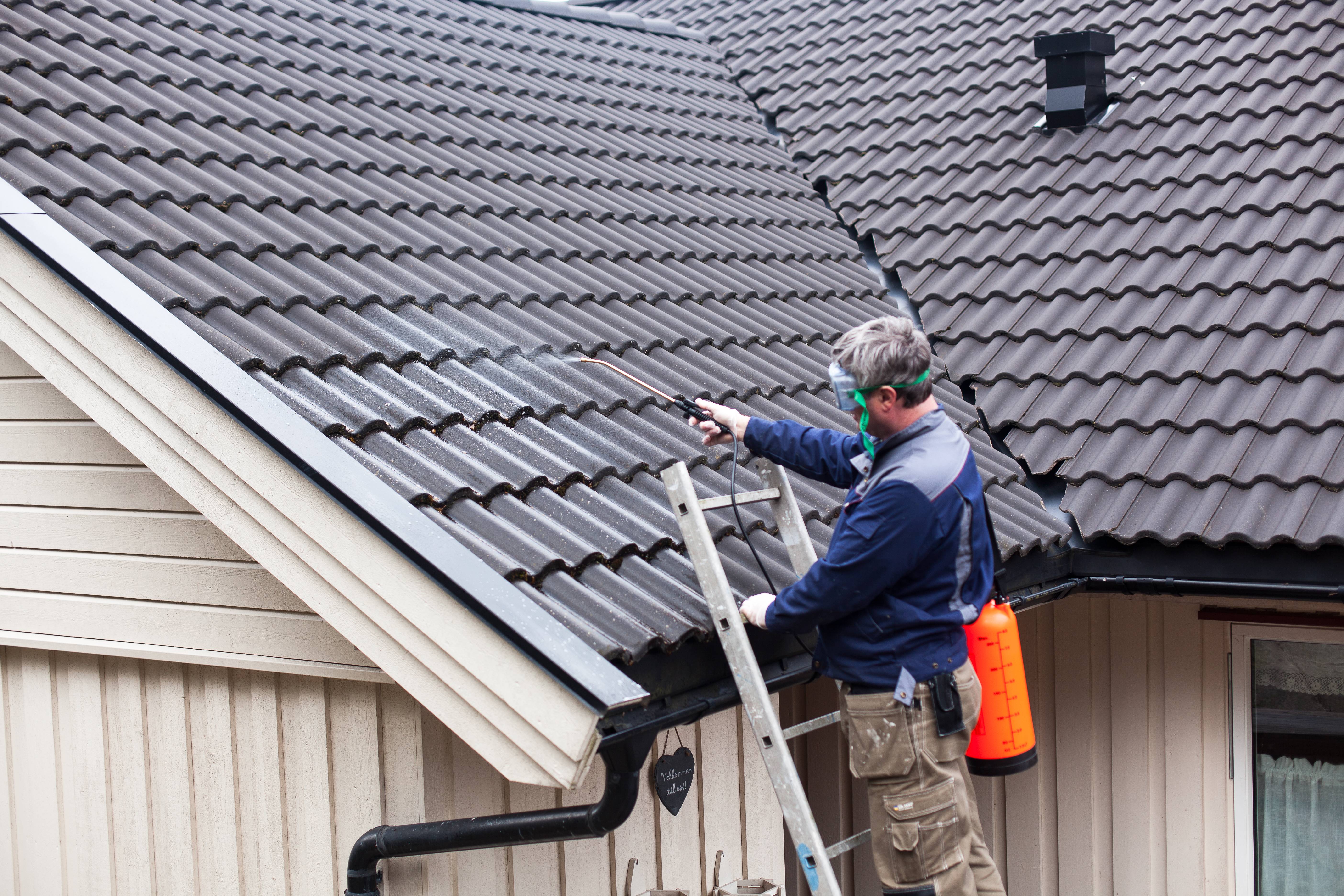 Sopp- og algedreper og deretter husvask - påføres med en spraykanne.