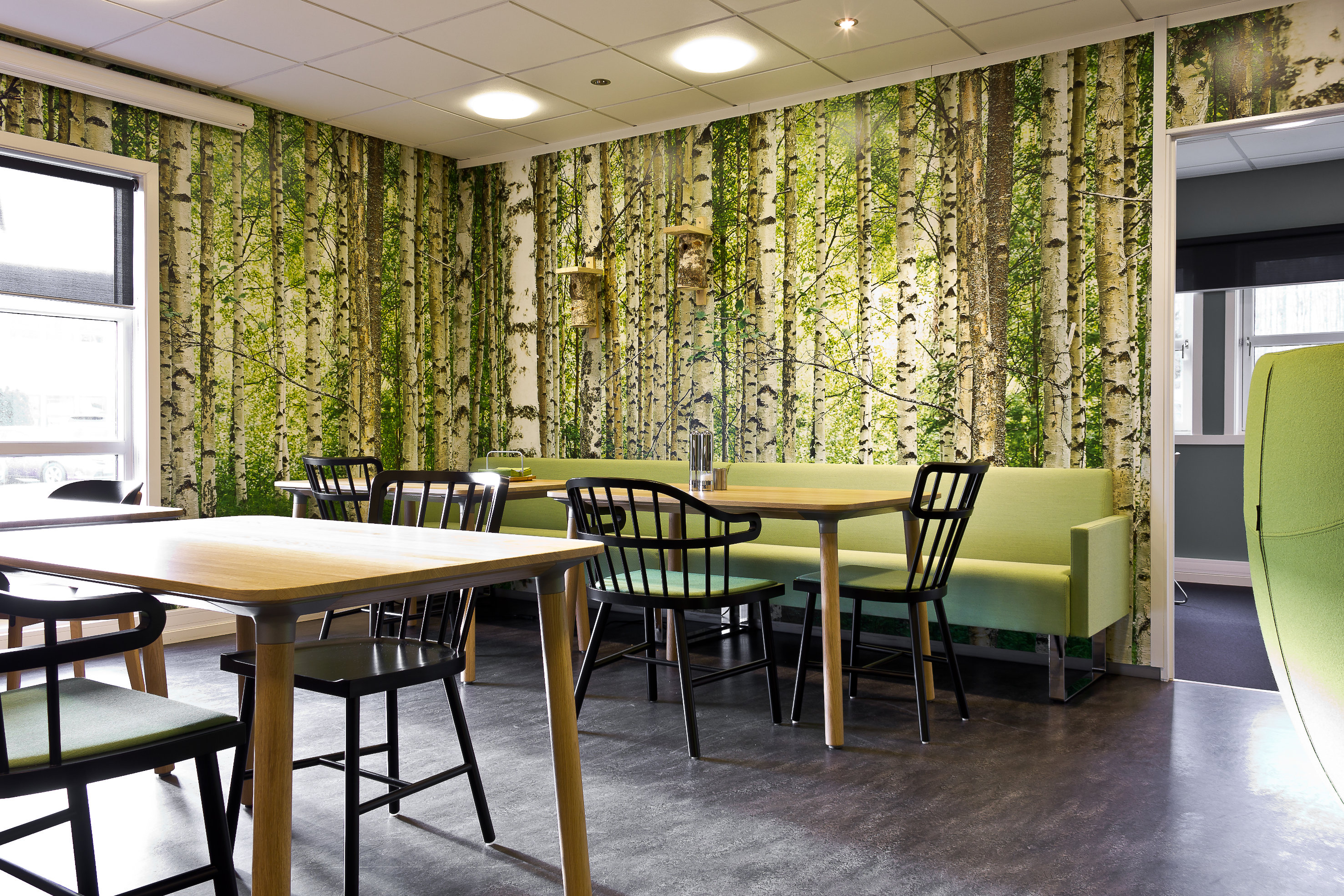 Lunsjrommet fungerer også som arbeidsplass, og er møblert med møbler fra NC og Materia. Veggene er dekorert med en skog av bjørketrær laget av fem fototapeter.
