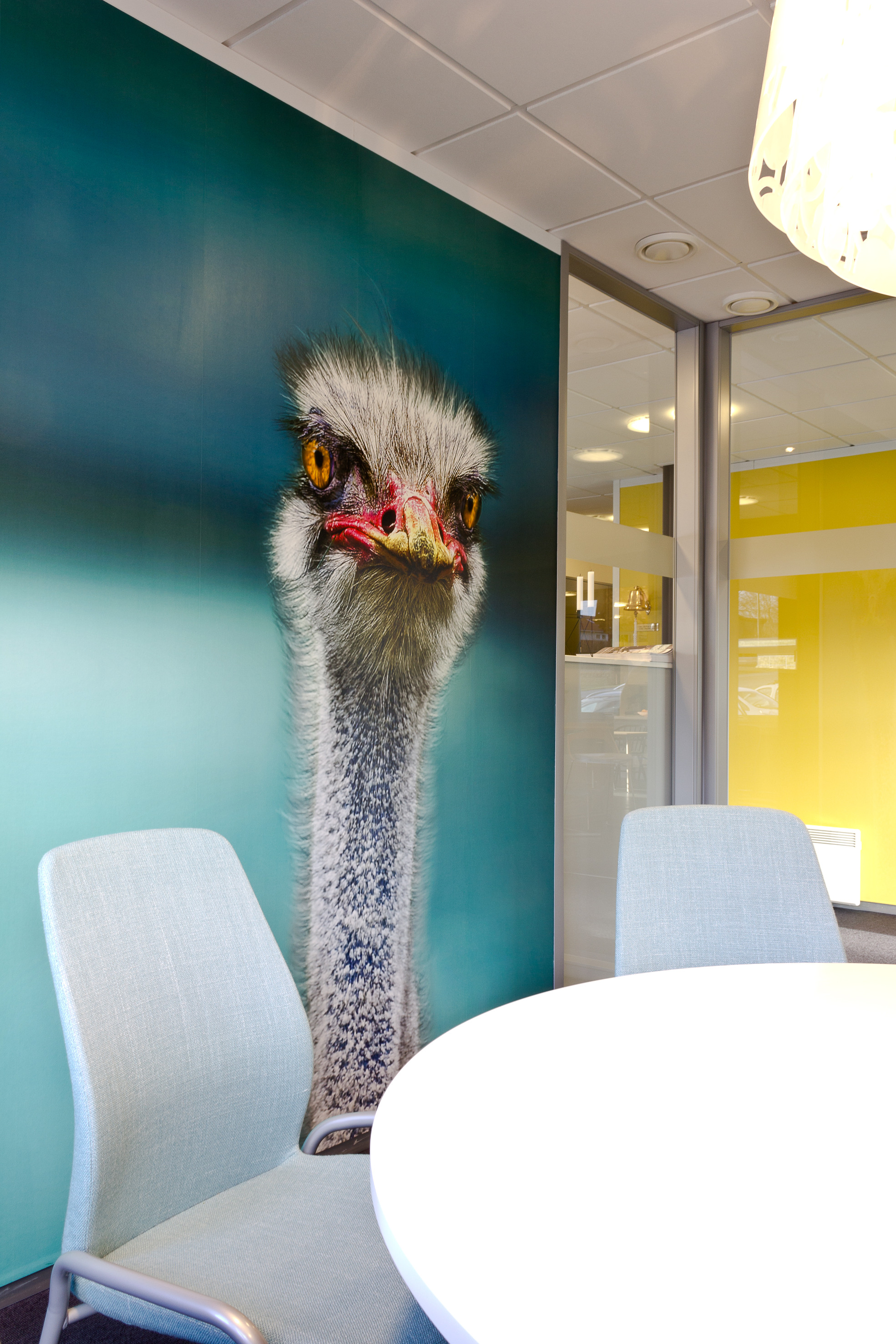 Fugler er et gjennomgående tema på veggene. 