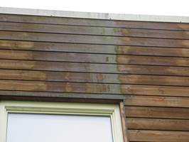 <b>TAKUTSPRING: </b>Når taket stikker ut 20-30 centimeter eller mer utenfor fasaden, forhindrer det at regnvann renner langs veggen og fukter treverket. (Foto: Mycoteam)