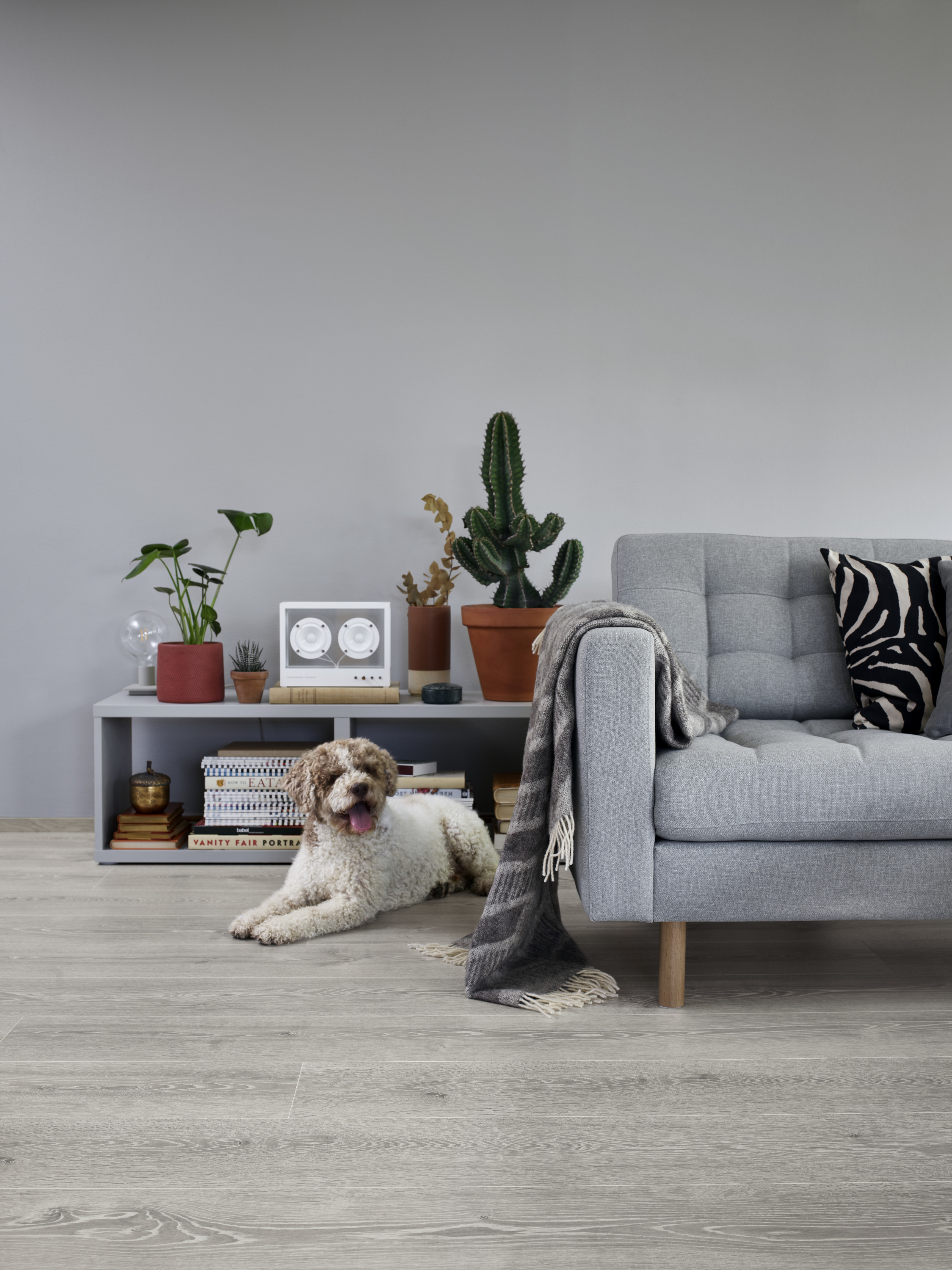 LongBoards Garonne Oak