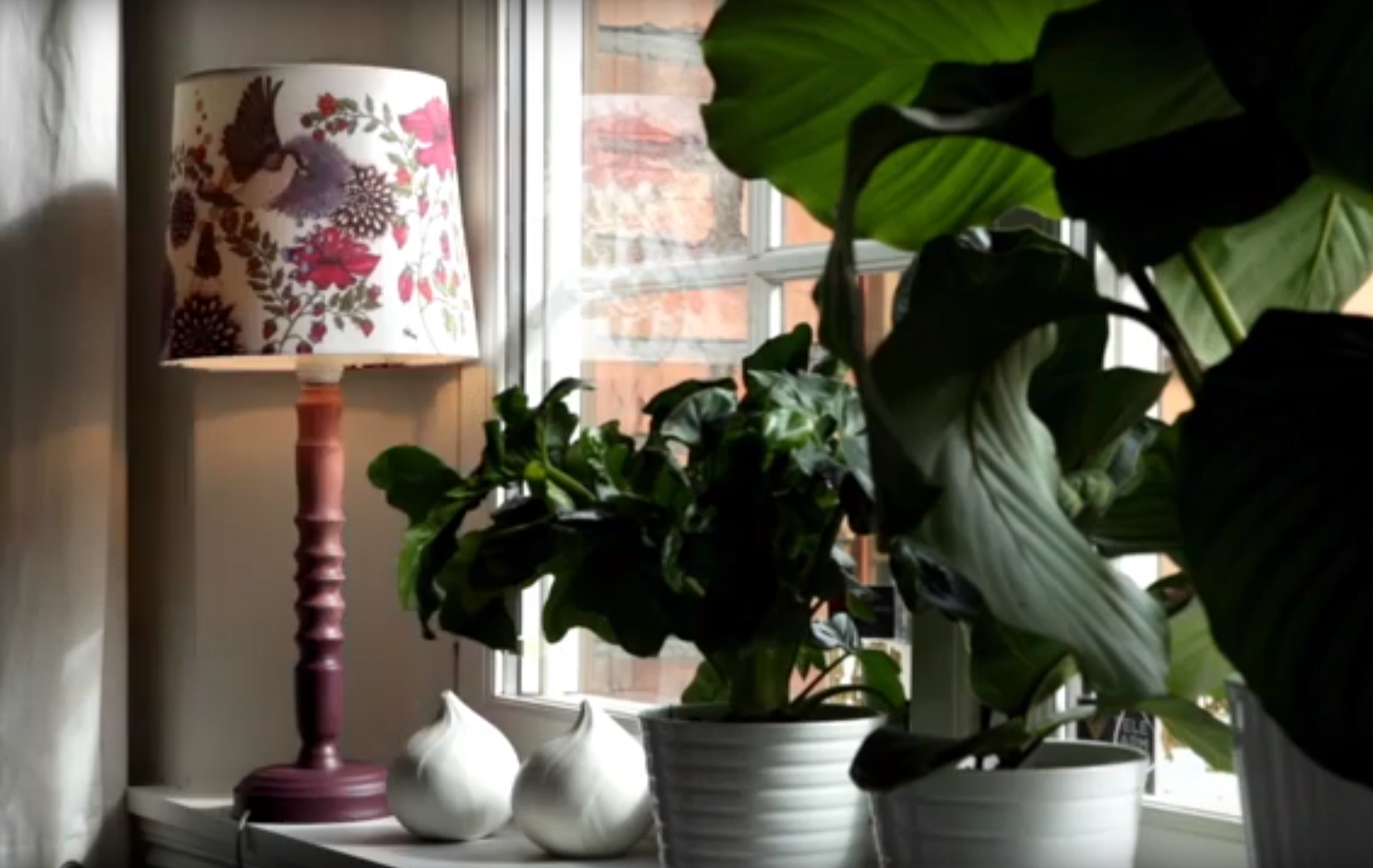 IFITV: Mal lampefoten i ombre-effekt