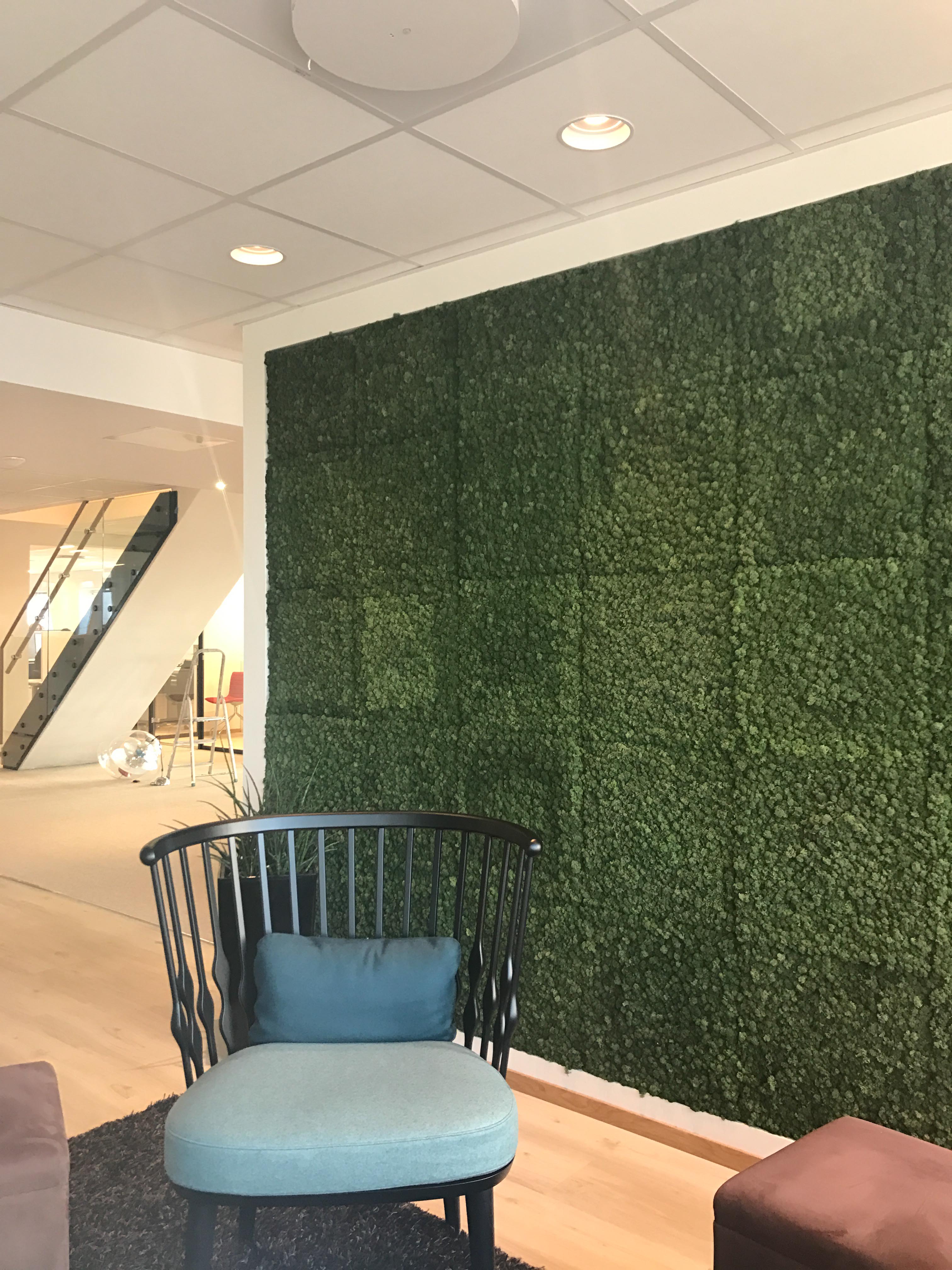 LEVENDE MOSE: I kontorene til EC Dahls Eiendom har Talseth og Husby blant annet brukt levende mose p&aring; veggene.