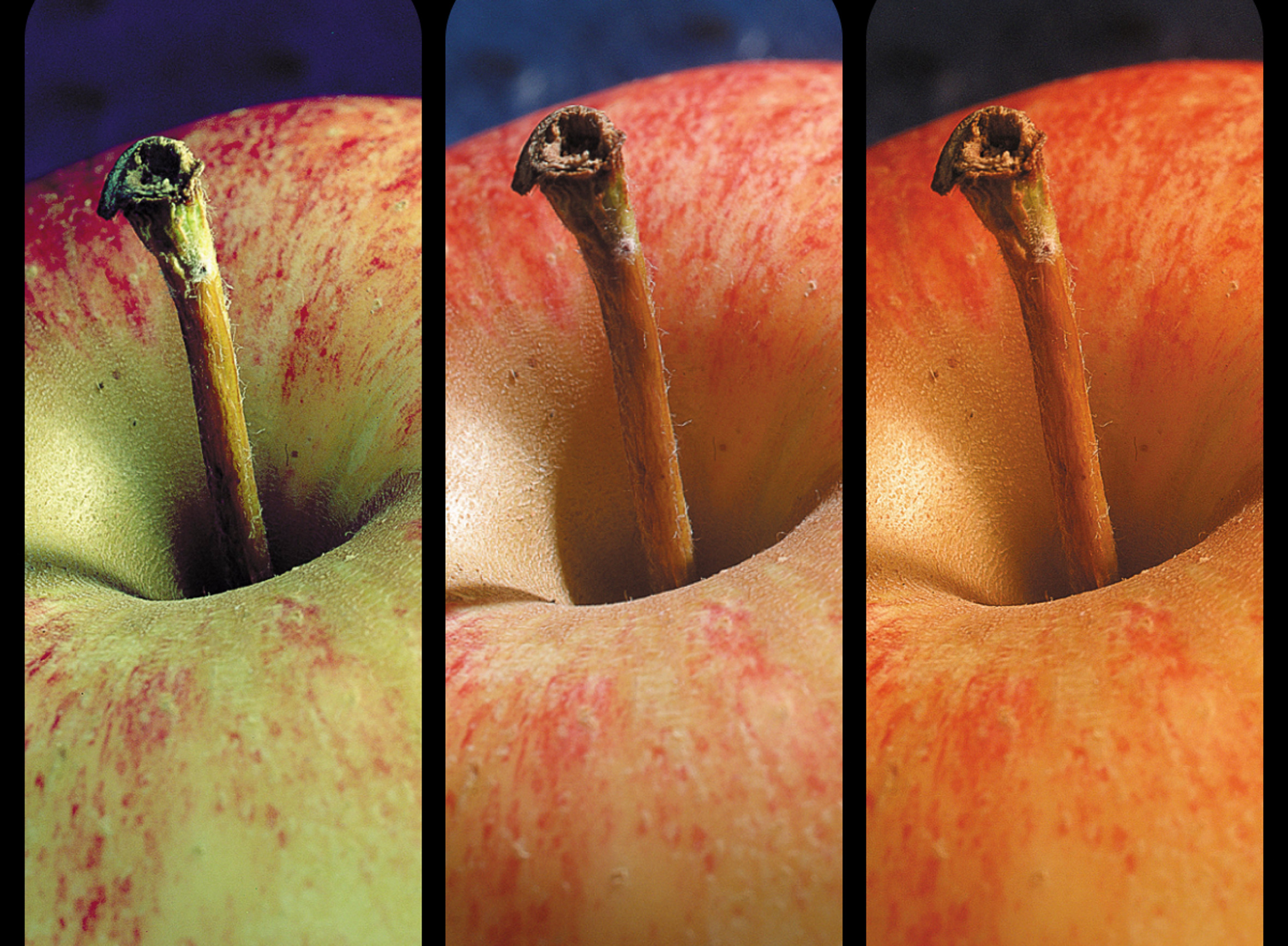 JA – lys påvirker farger!