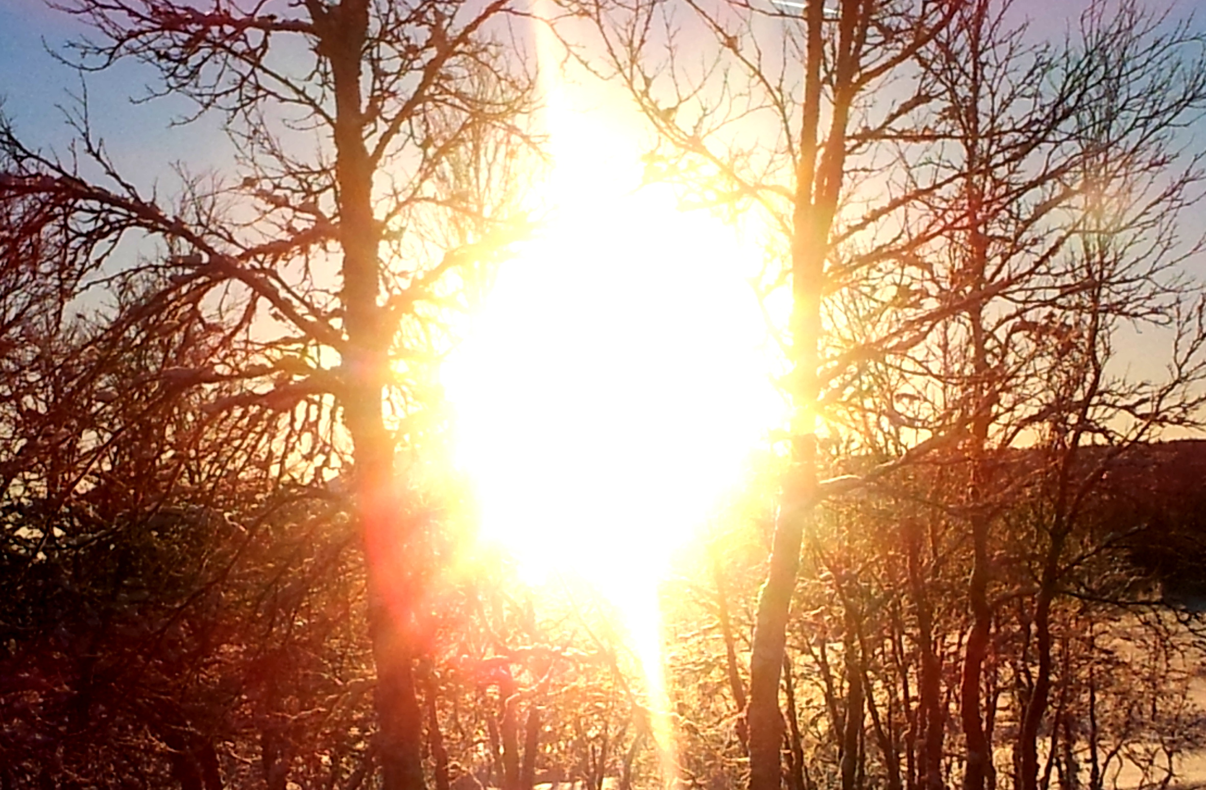 Dagslyset inneholder alle farger.