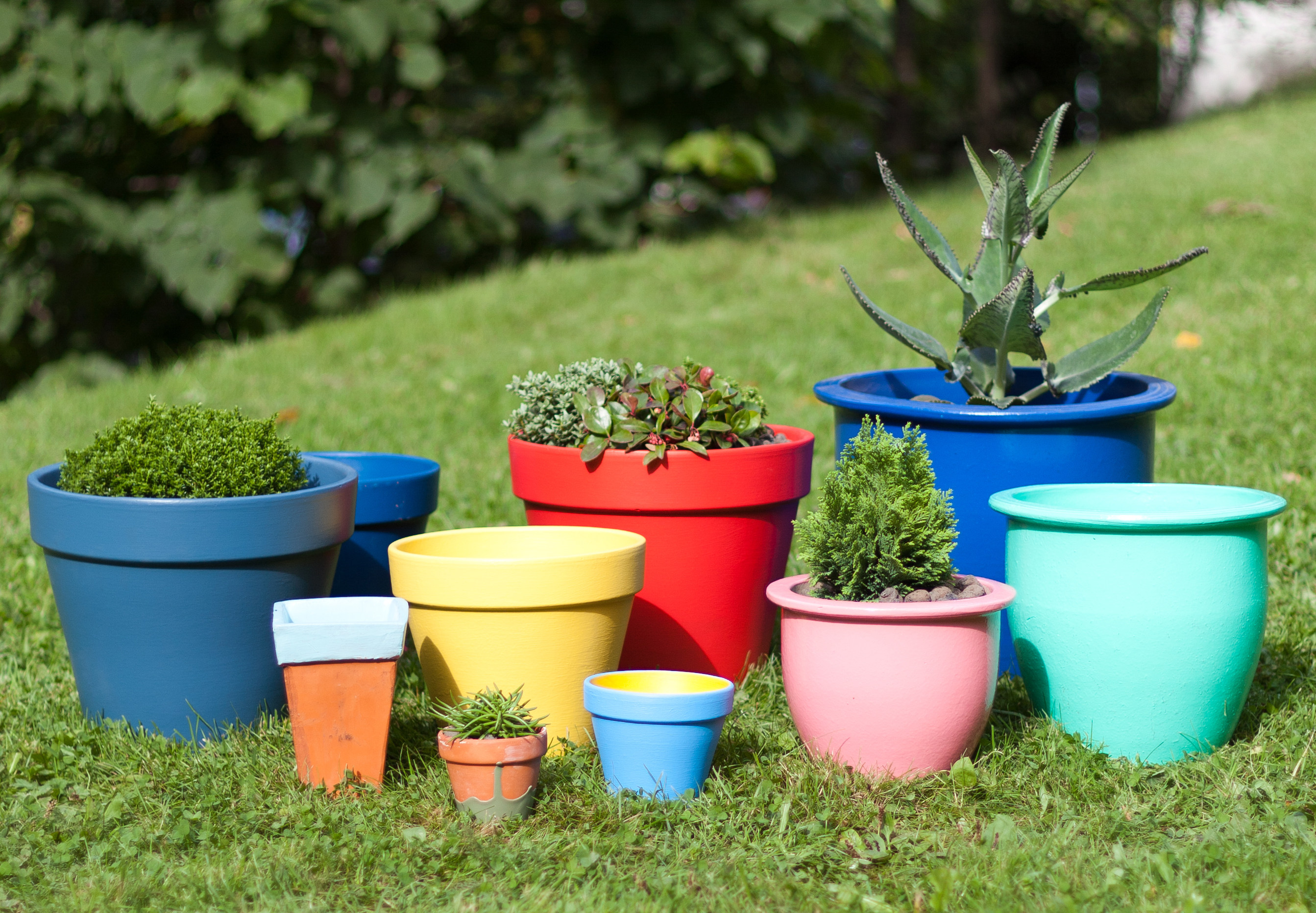 al de gamle krukkene dine i friske farger, og fyll dem med blomster. 