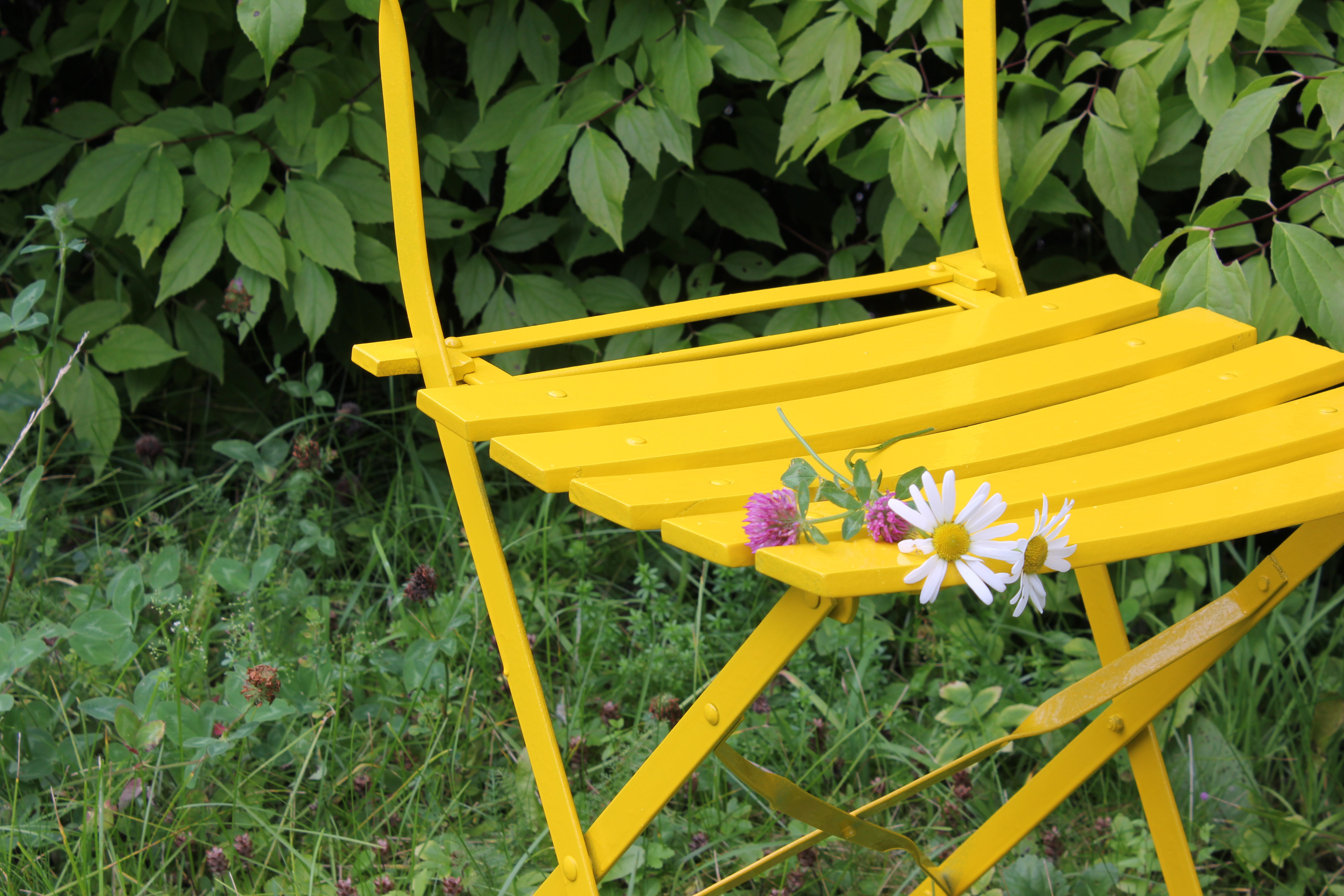 gul hagestol i gresset