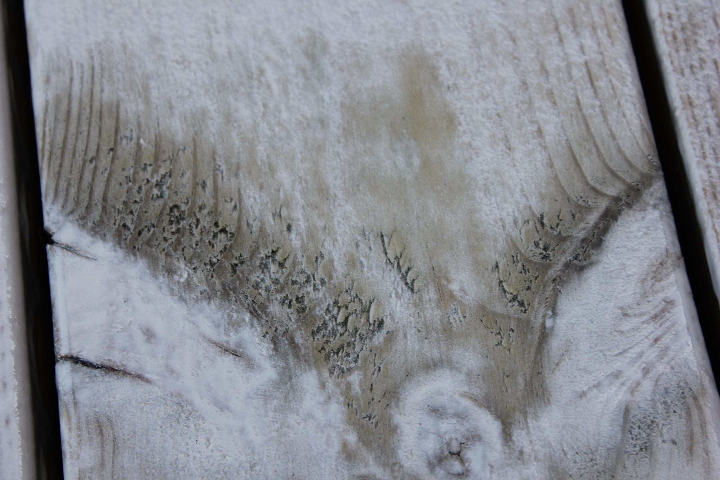 mette porene på terrassebord
