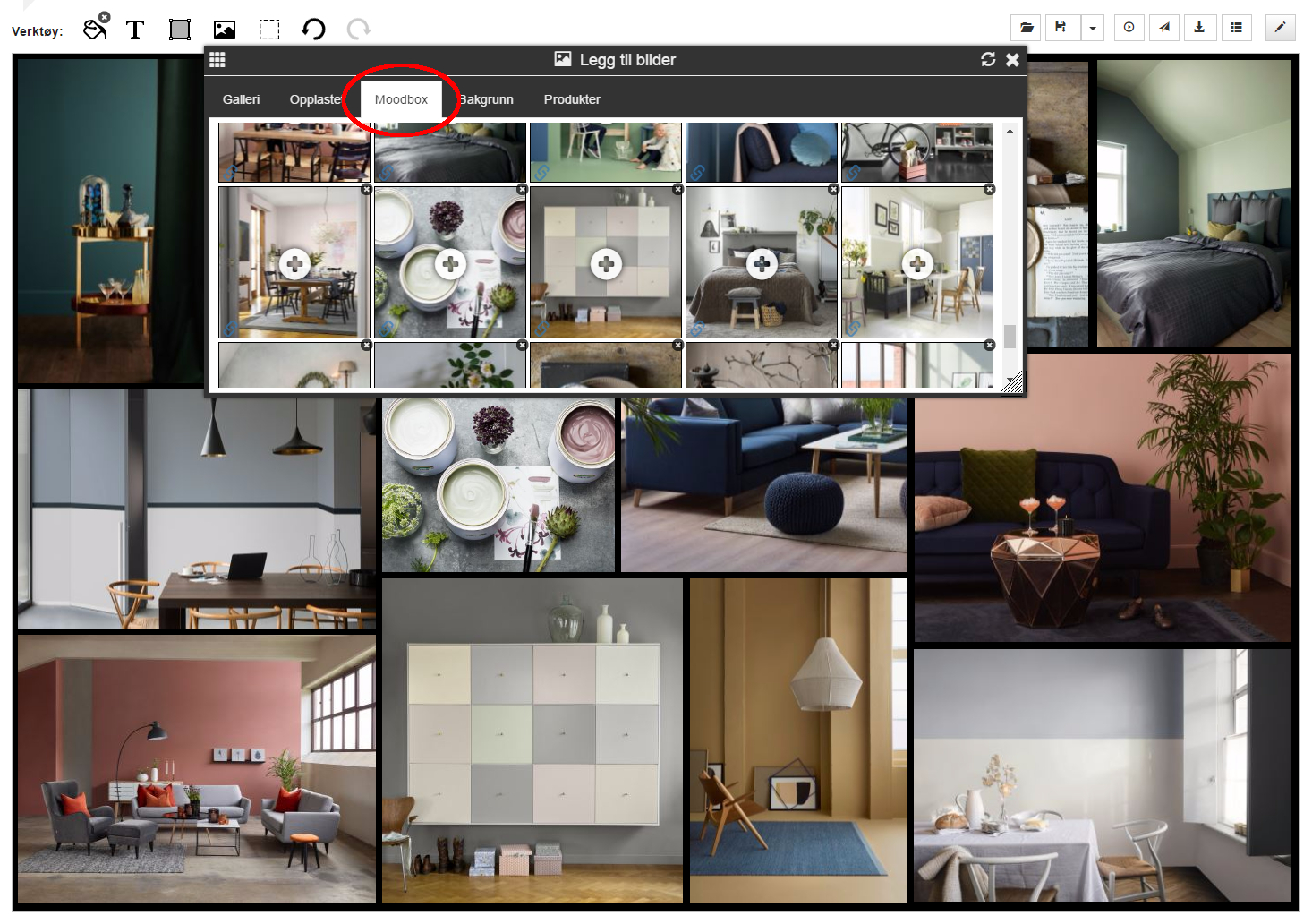 Bildene du har lagt til i Moodbox blir synlige i galleriet i moodboardet.