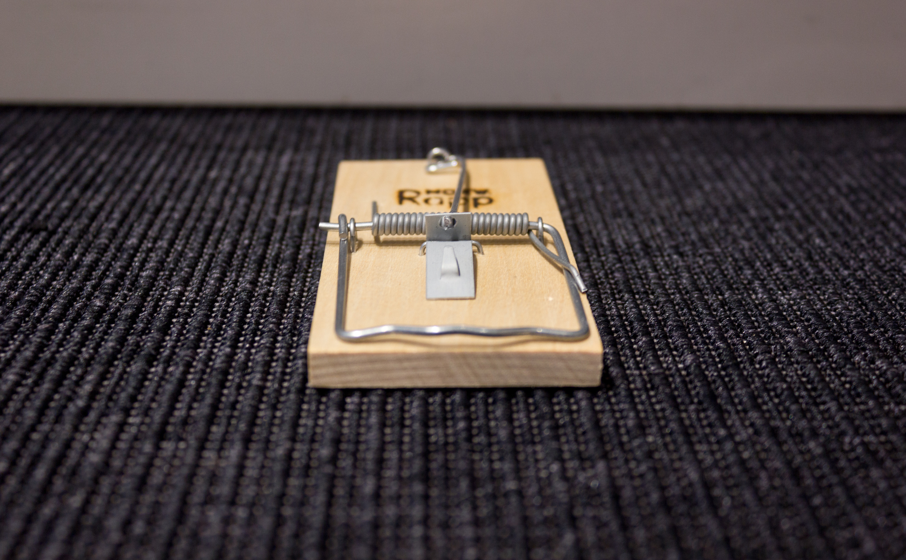 Hold skadedyrene unna