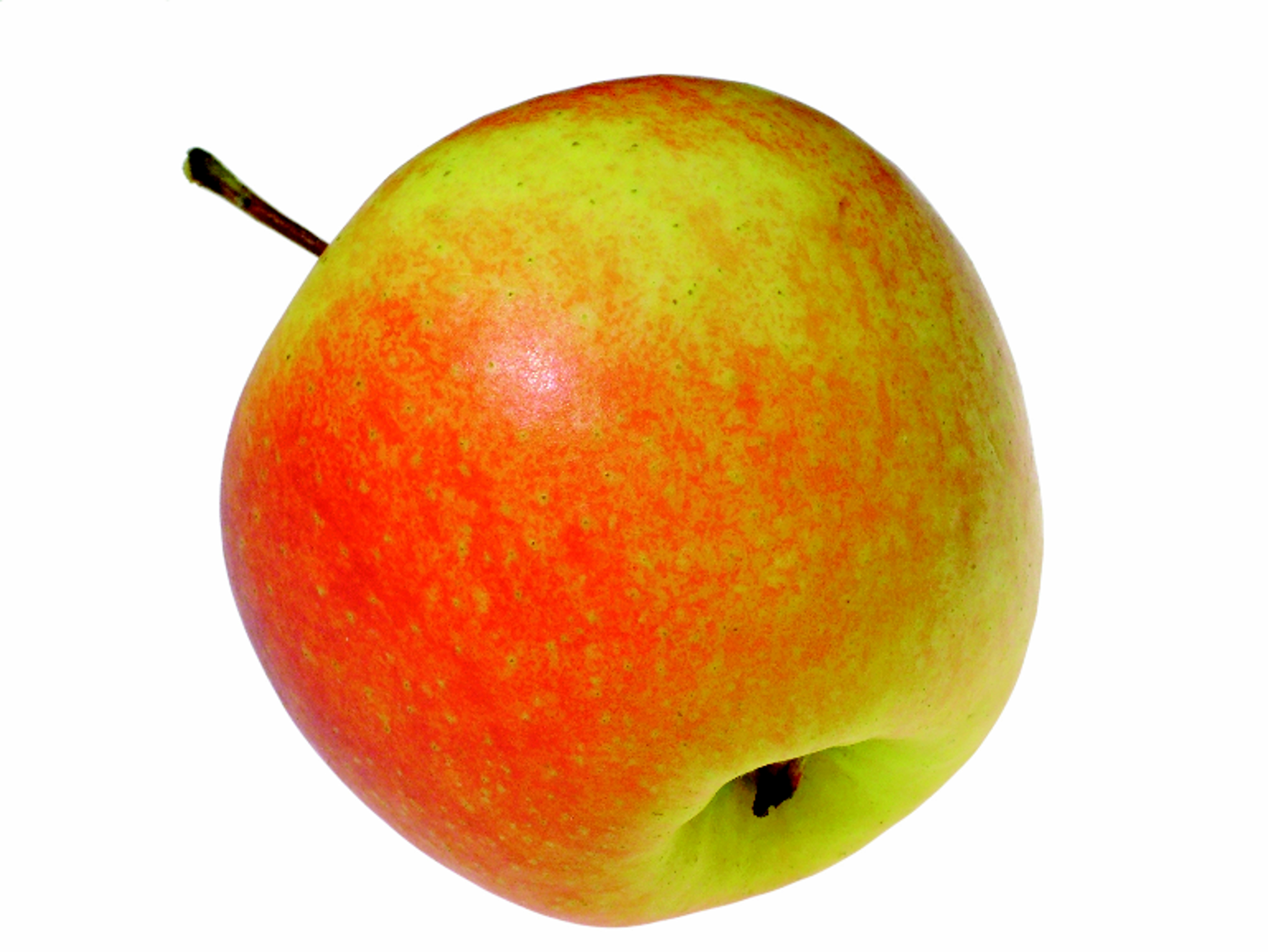 Det er mange eksempler på nabofarger i naturen; et modent eple for eksempel, der fargene flyter umerkelig over i hverandre og danner myke mellomtoner. 