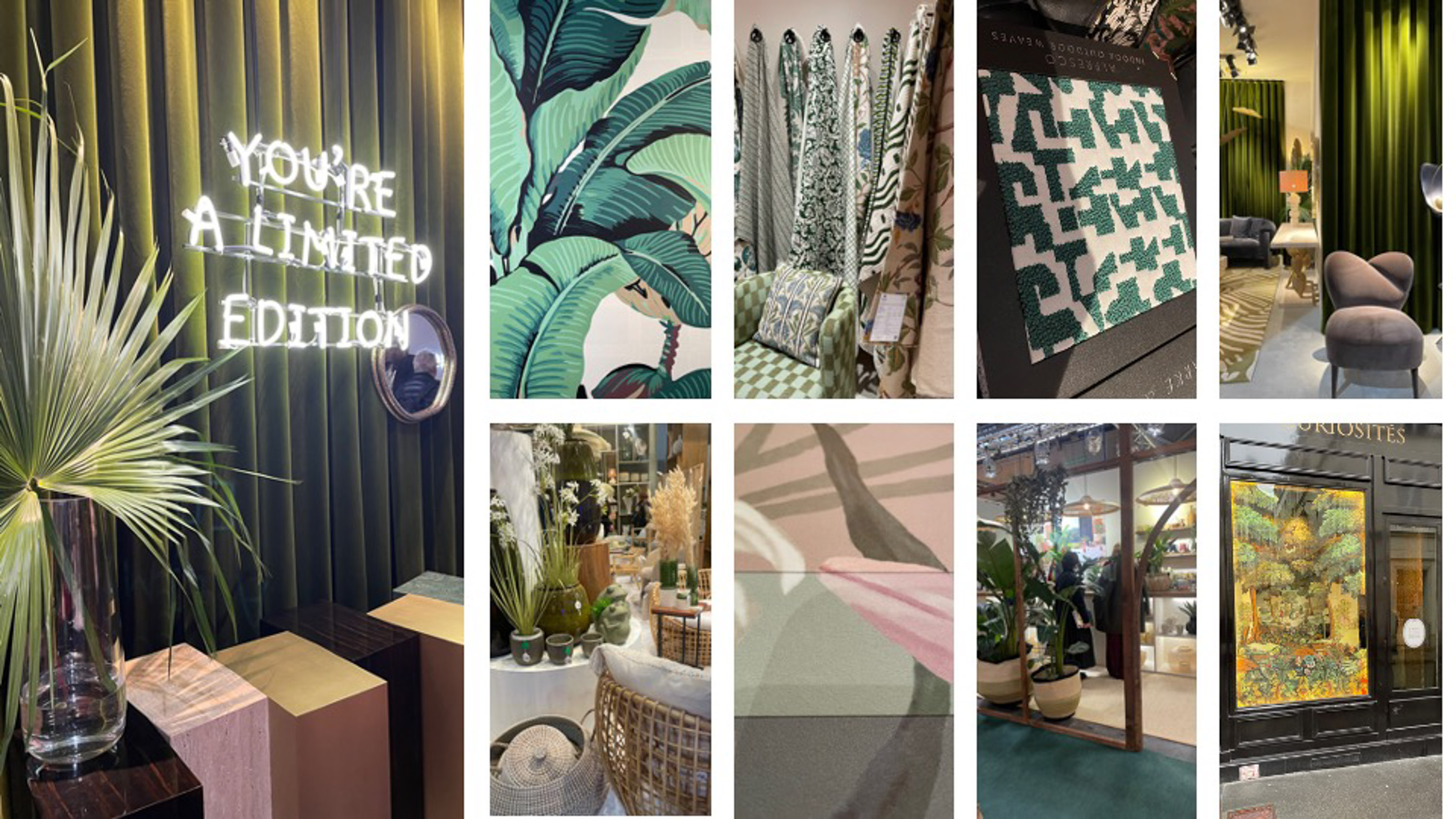 bildekollasje med grønne interiører med blader