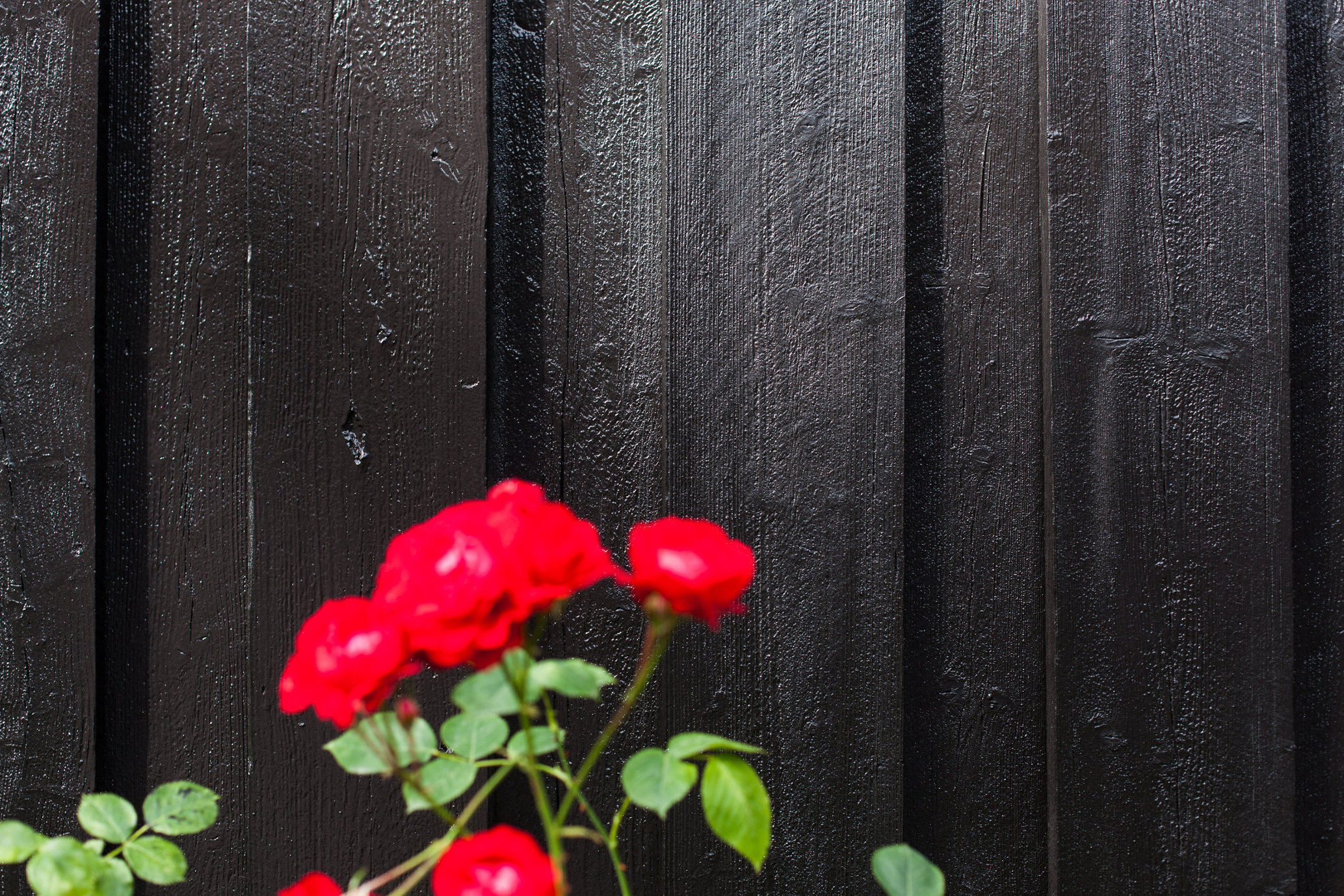 Det går fort å male med sprøyte. 15 kvadratmeter er gjort unna på 6 minutter.