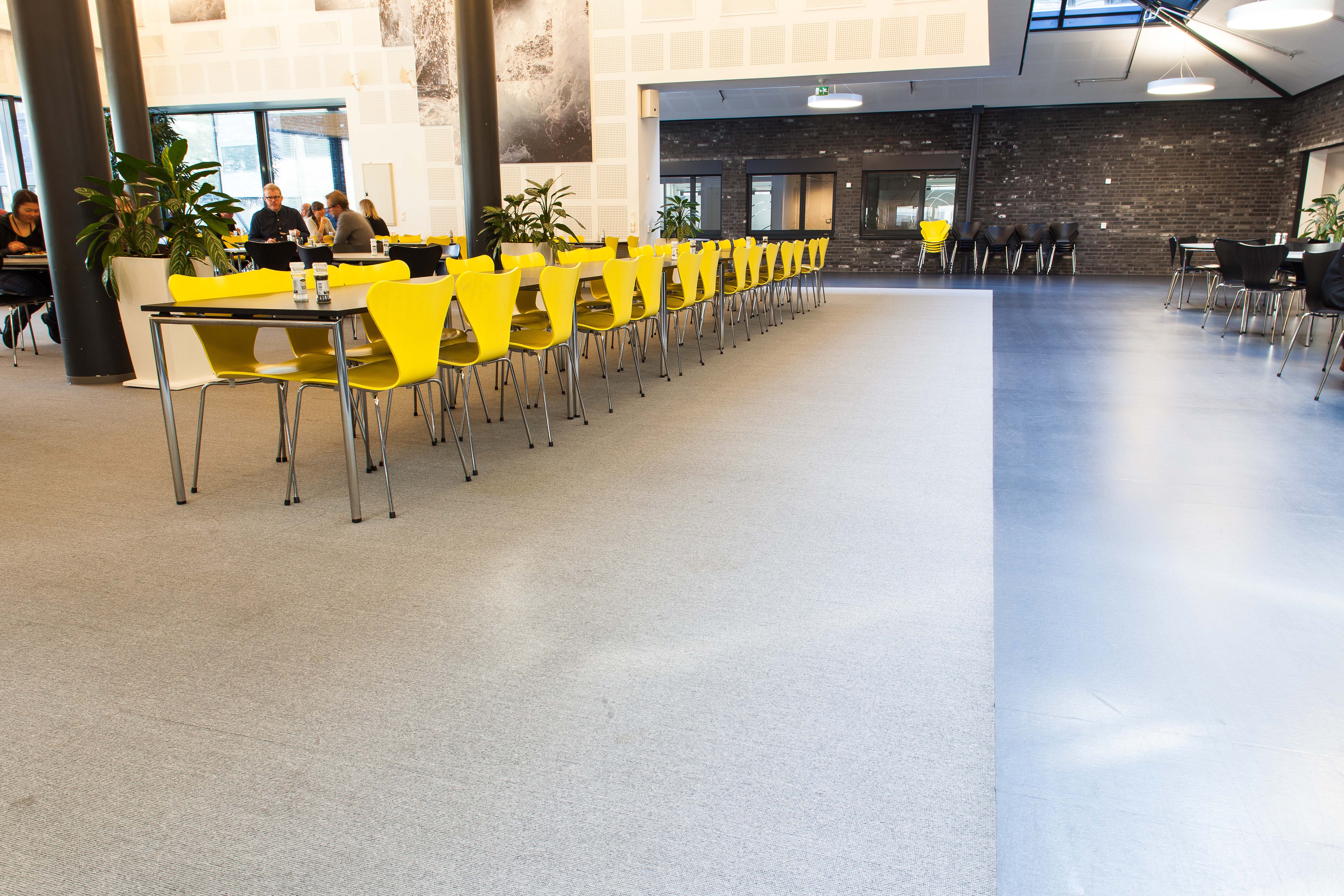 Et tilsynelatende grått og enkelt kanineareal er blitt en fargerik opplevelse, kun ved å velge en frisk gulfarge på stablestolene. Teppefliser gir også langt bedre akustiske forhold.