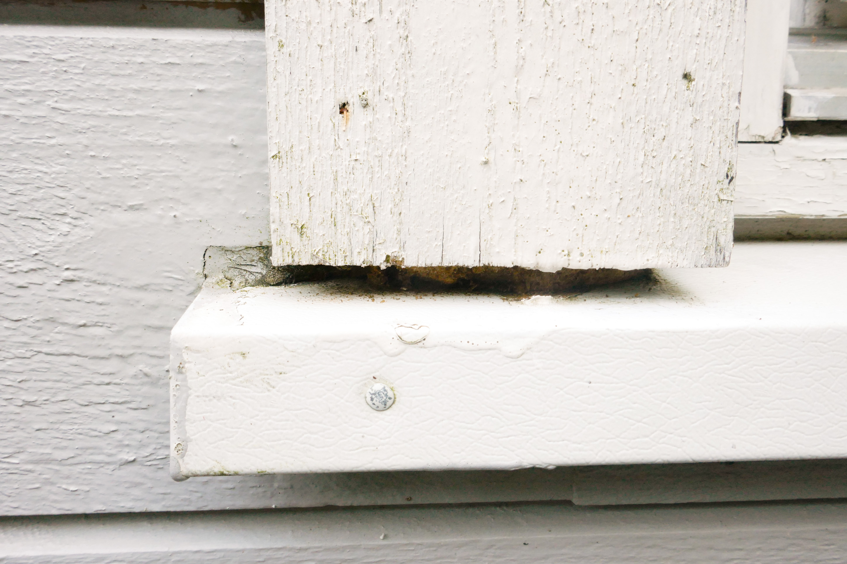 Stell godt med endeveden