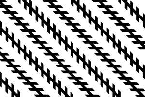 Du blir bedratt optisk: De diagonale linjene ER parallelle. (Illustrasjonen er hentet fra Store Norske Leksikon).
