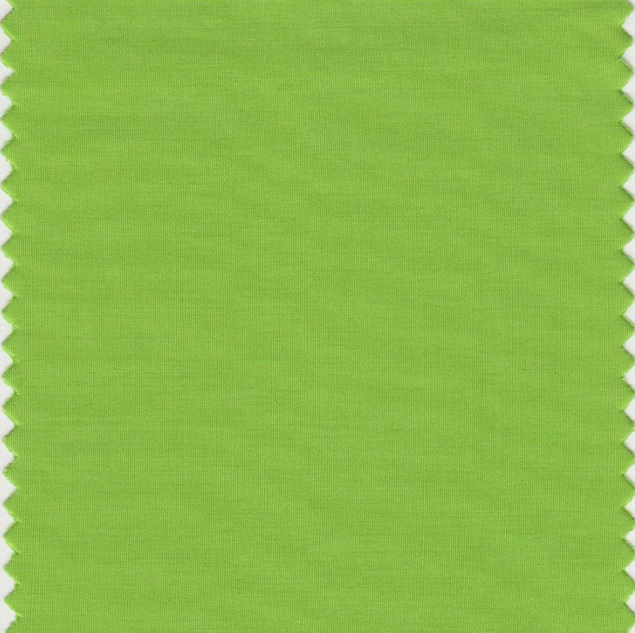 FRISK PUST: Pantone 15-0343 Greenery er en forfriskende grønnfarge som signaliserer håp og forventninger.